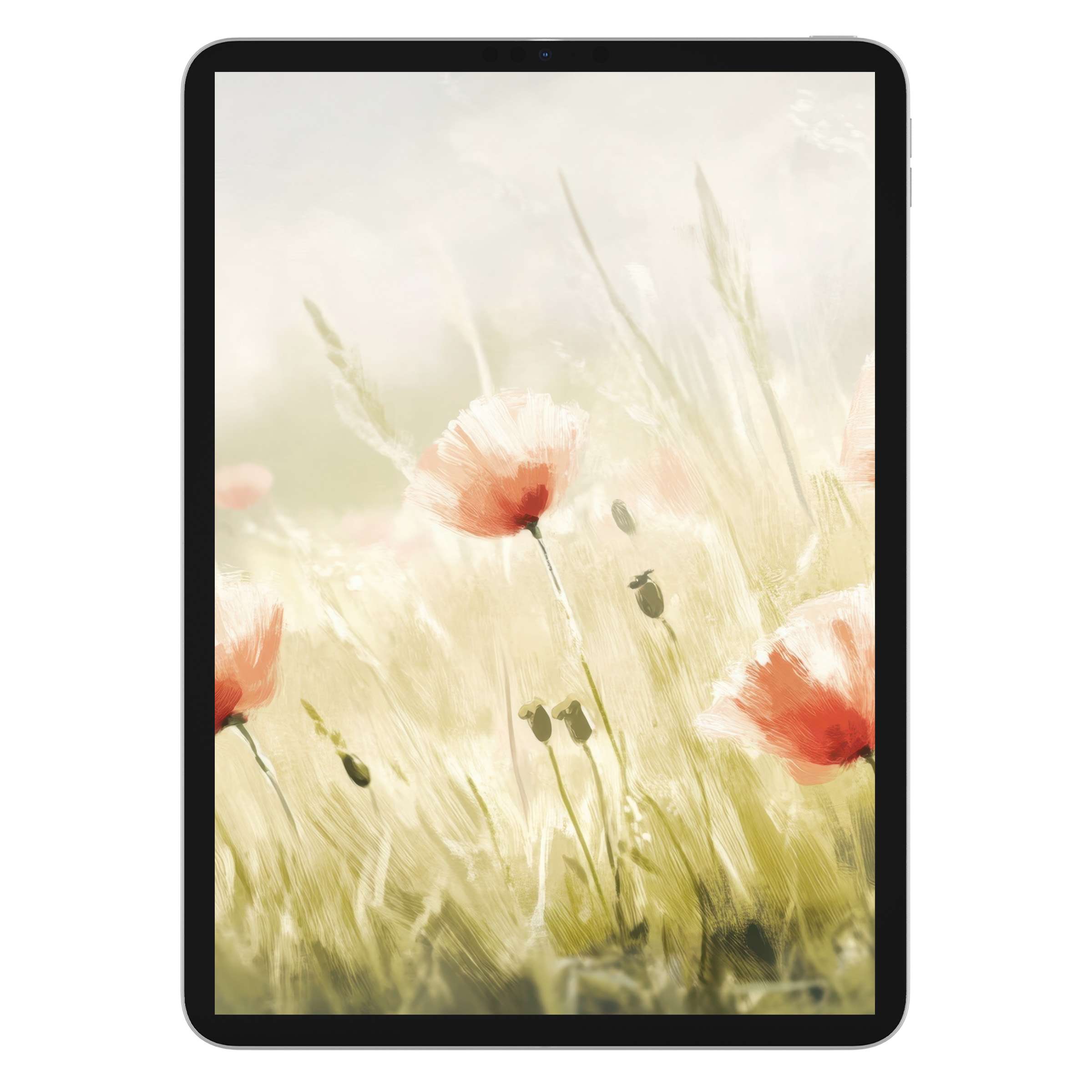Serene digital download of spring iPad wallpaper featuring delicate pink poppies, perfect tablet background for elegant tranquility