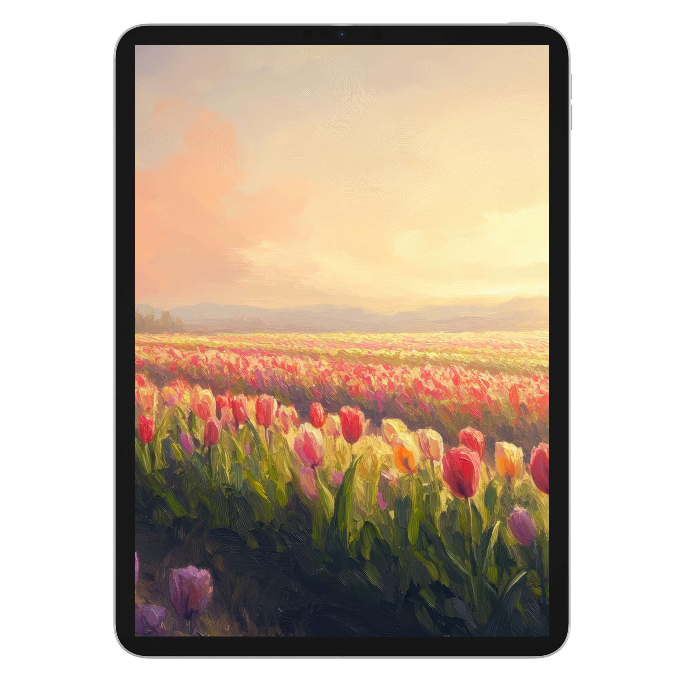 Vivid spring iPad wallpaper with sunset-lit tulip fields, ideal digital download for tablet background, enhancing serene aesthetics
