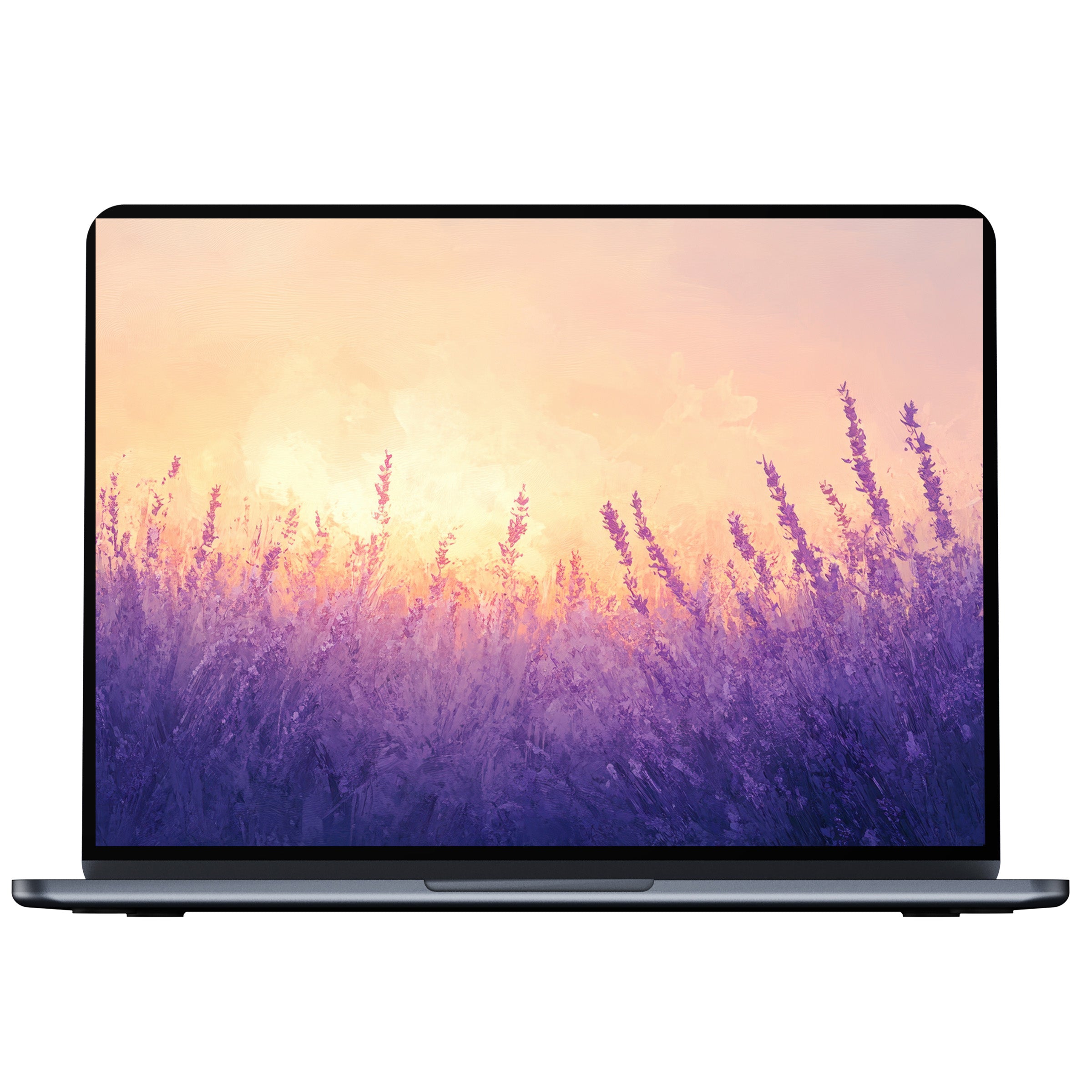 Elegant summer desktop wallpaper featuring a serene lavender field at sunset, perfect digital download for PC and laptop screens