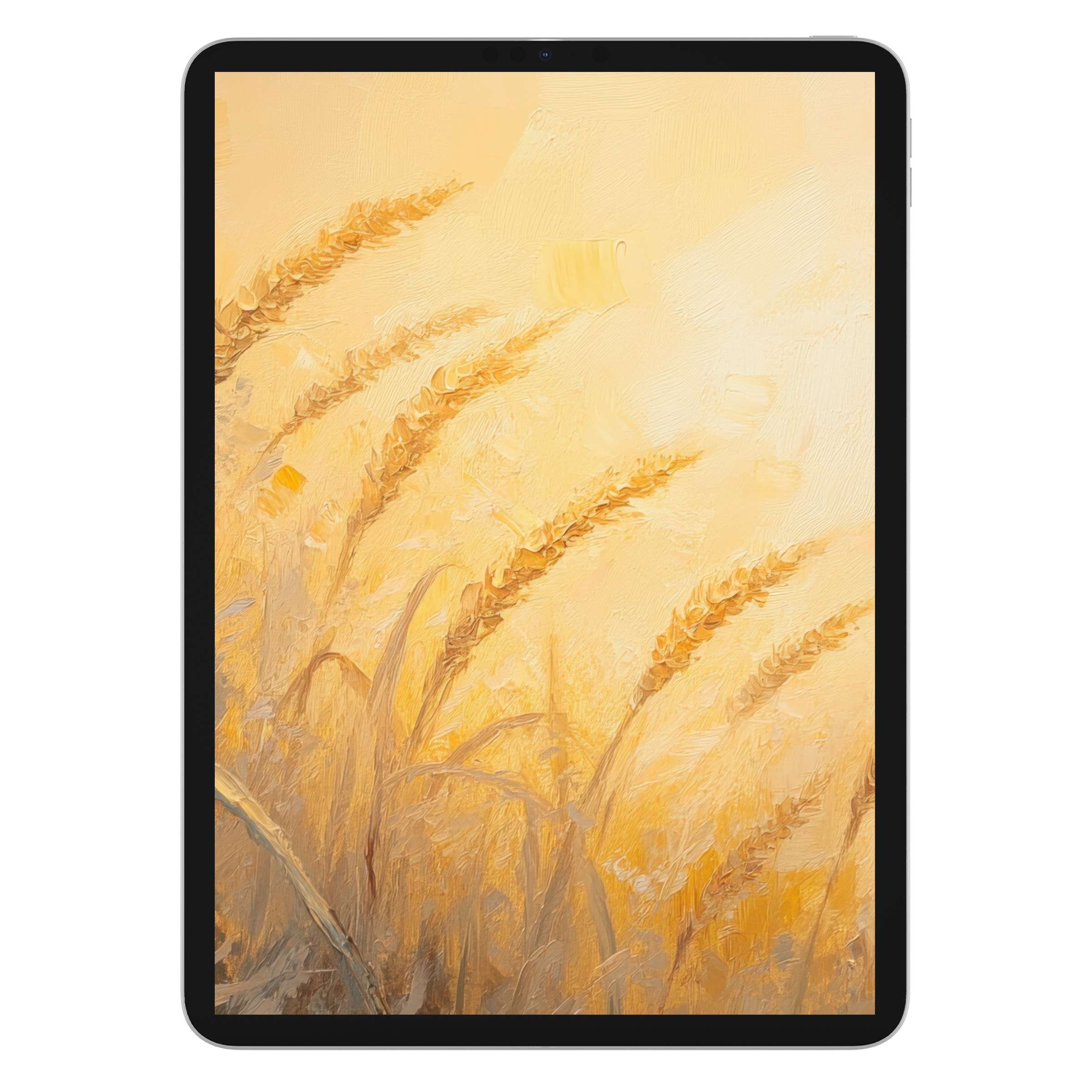 Golden wheat swaying in soft sunlight creates a serene summer iPad wallpaper for tablet background digital download users