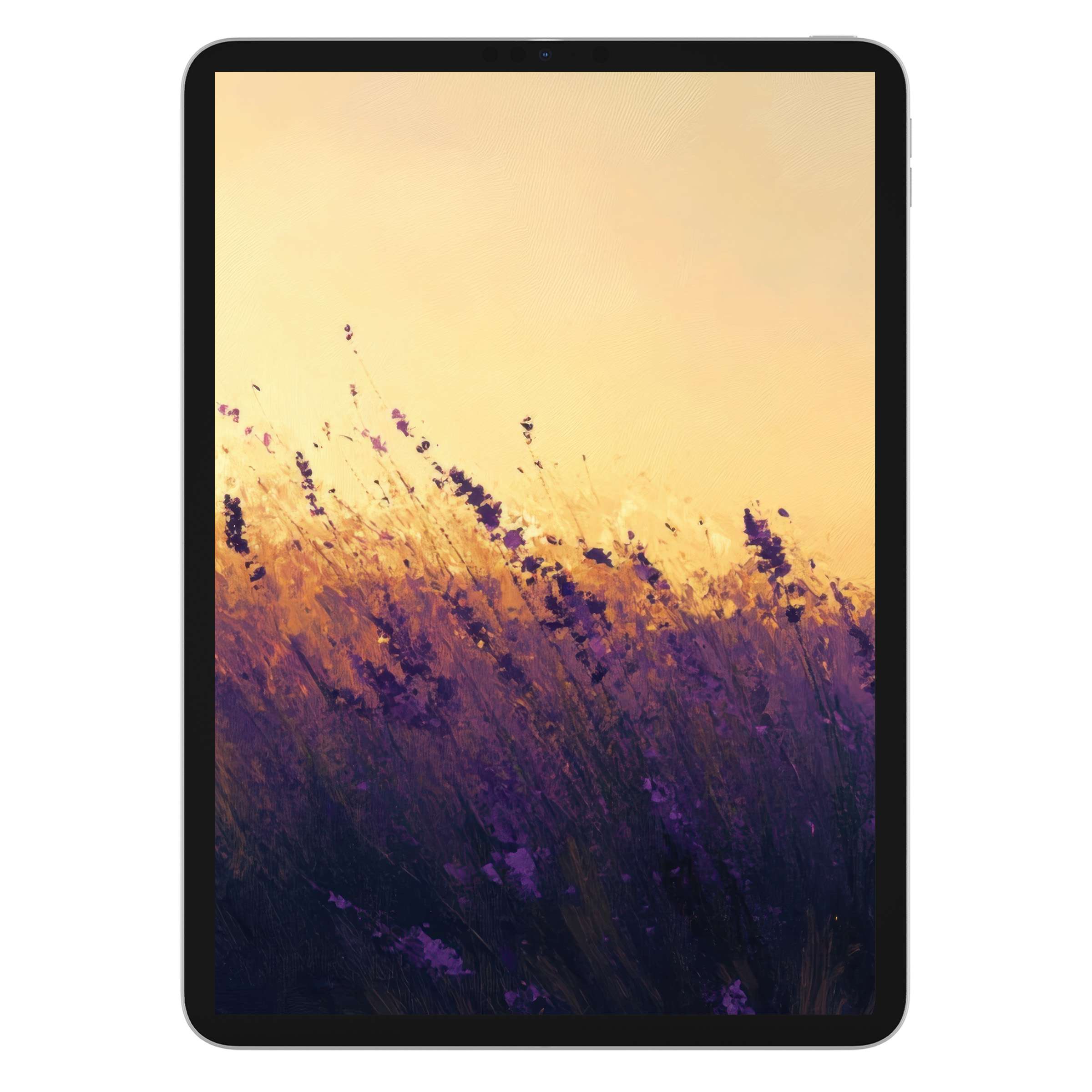 Elegant summer iPad wallpaper with lavender fields at sunset for tablet background digital download inspiring calm aesthetic