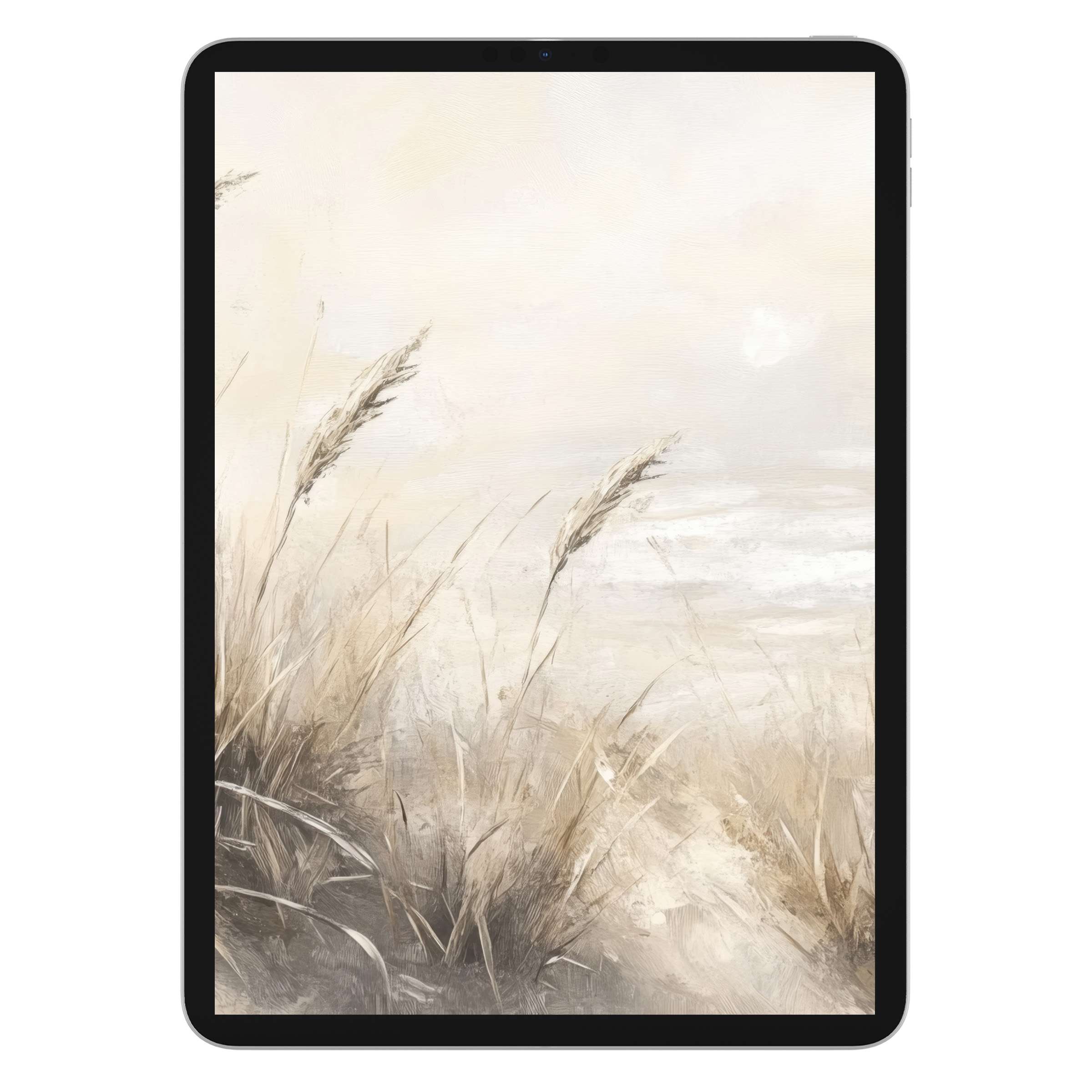 Serene summer iPad wallpaper with soft beige tones and delicate grasses perfect for tablet background digital download tranquility