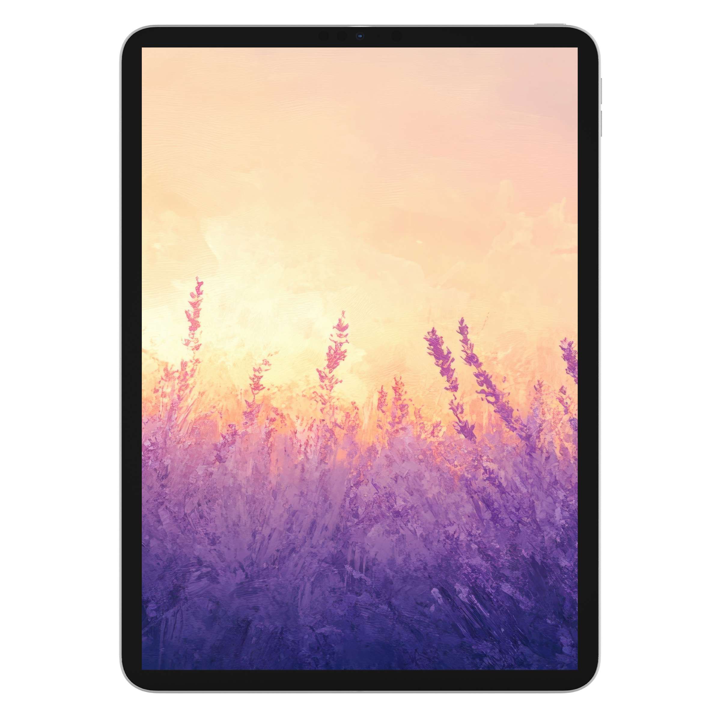 Lavender fields at sunset create a serene summer iPad wallpaper for tablet backgrounds, a perfect digital download for tranquility
