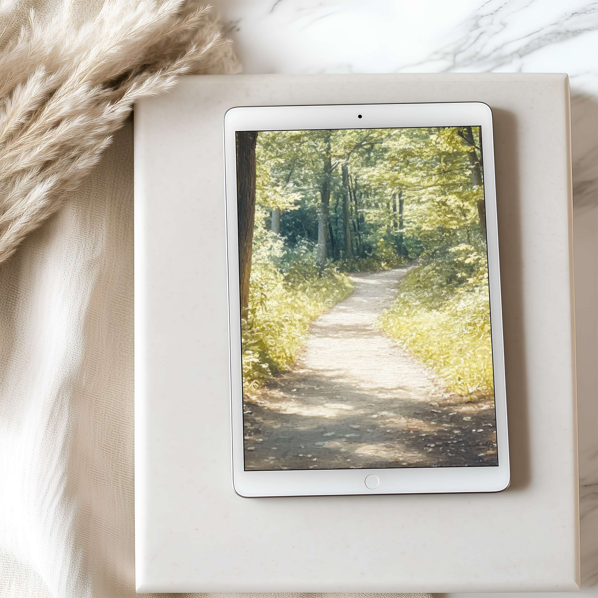 Tranquil forest path tablet wallpaper in high resolution for iPad and Android tablets evokes serenity, perfect for digital download