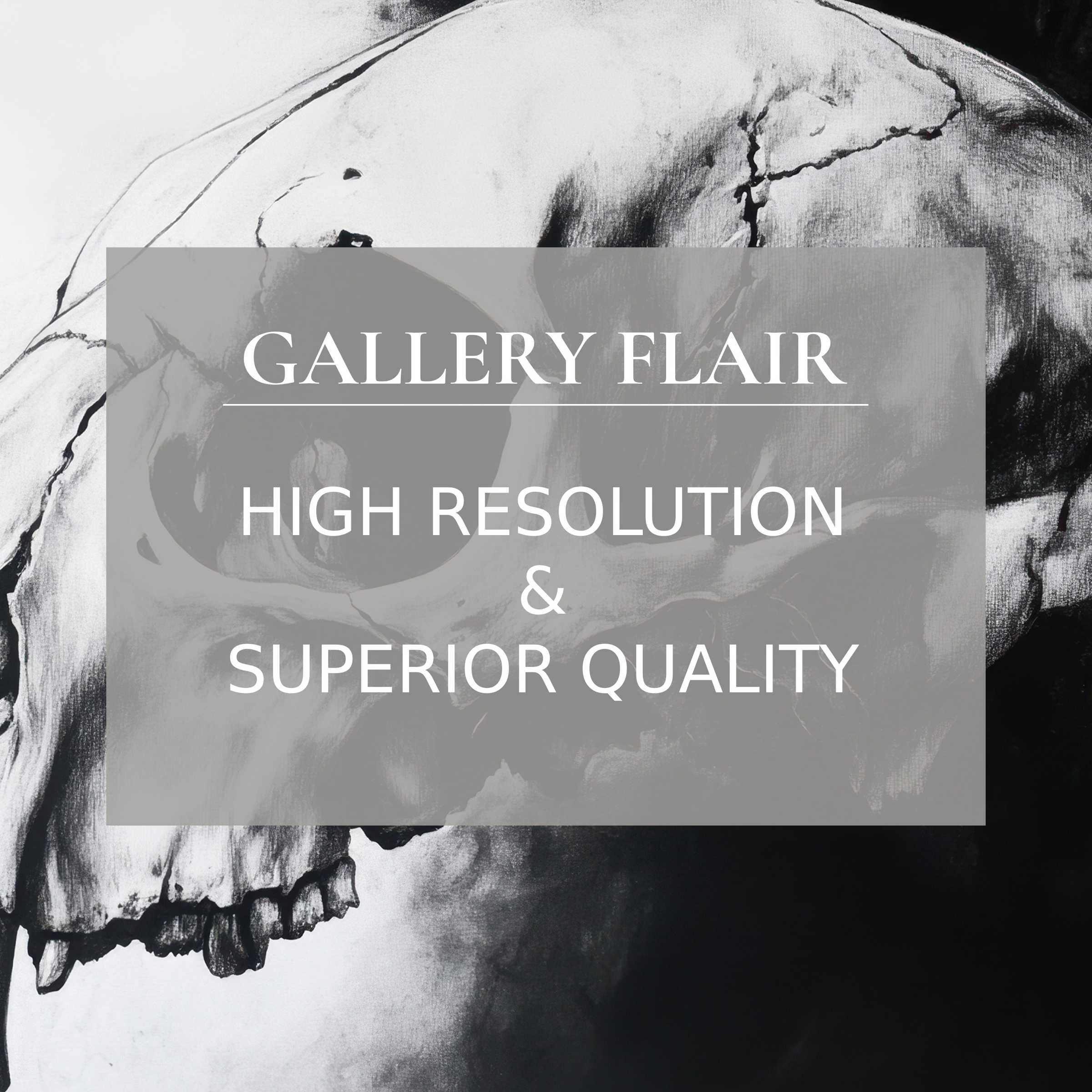 Elegant black and white skull art wallpaper for Mac and PC, inspiring calm in any workspace with high-resolution digital download