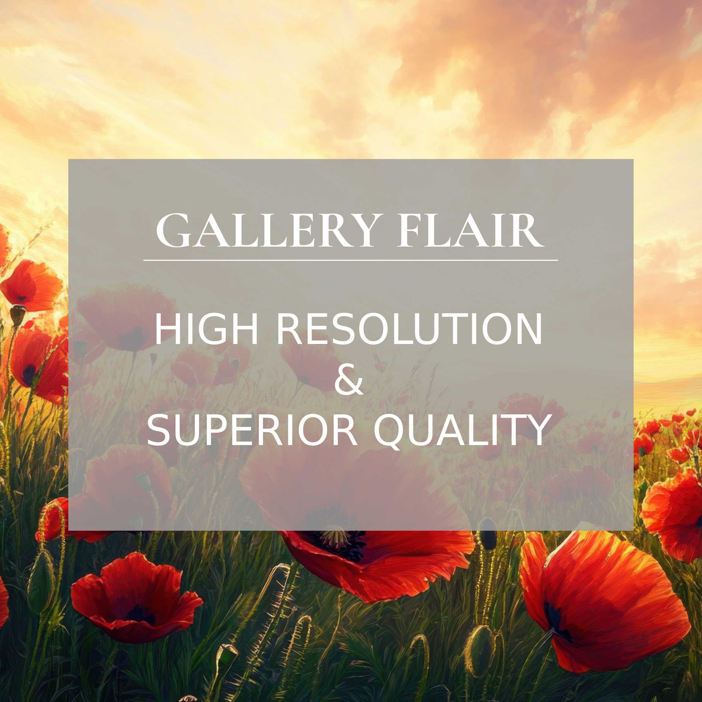 Radiant sunset and blooming poppies create a serene wallpaper for Mac and PC, perfect for digital download and curated elegance