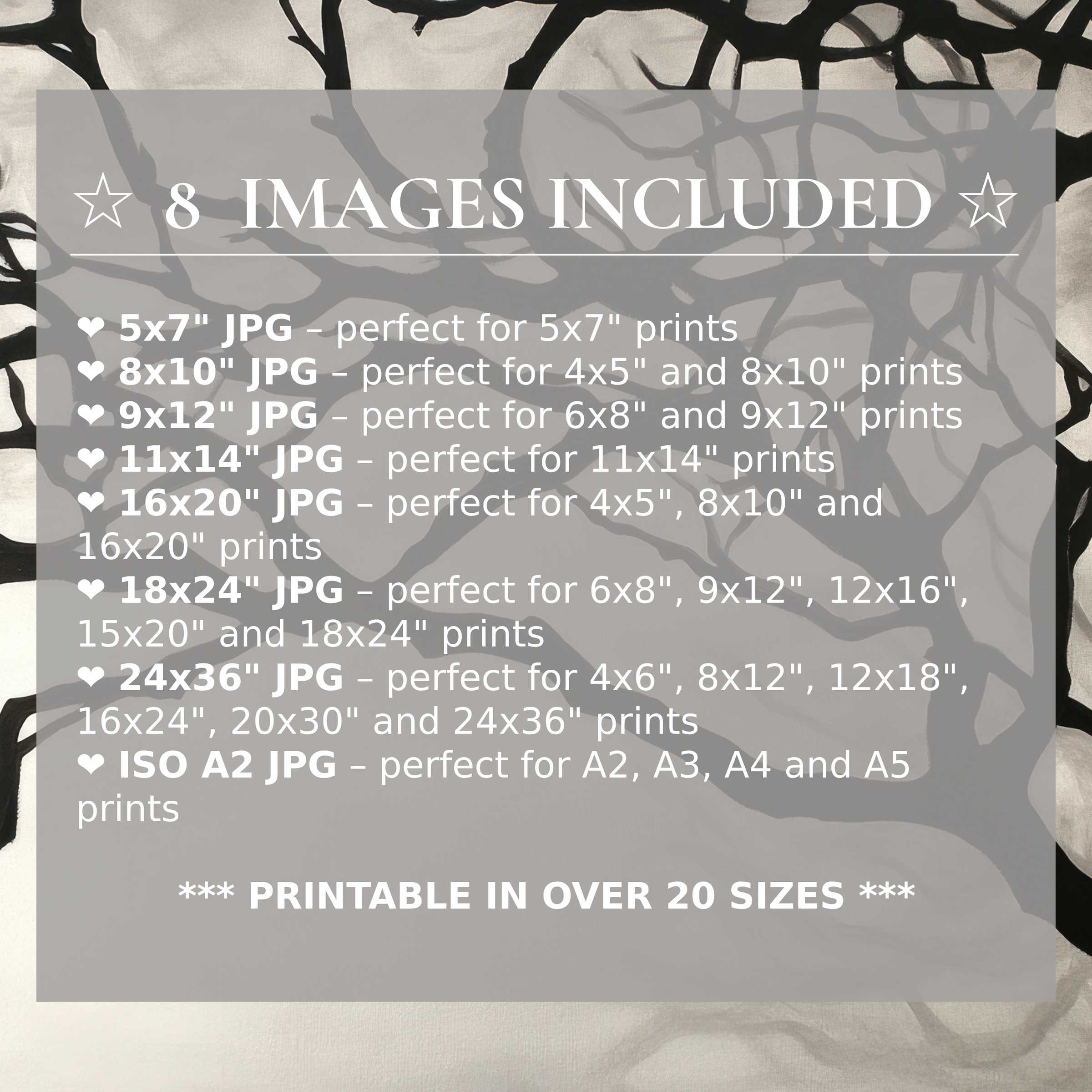 Black and white digital print featuring bold, radiant contrasts that elevate modern interiors with timeless elegance; includes 8 high-quality sizes with download