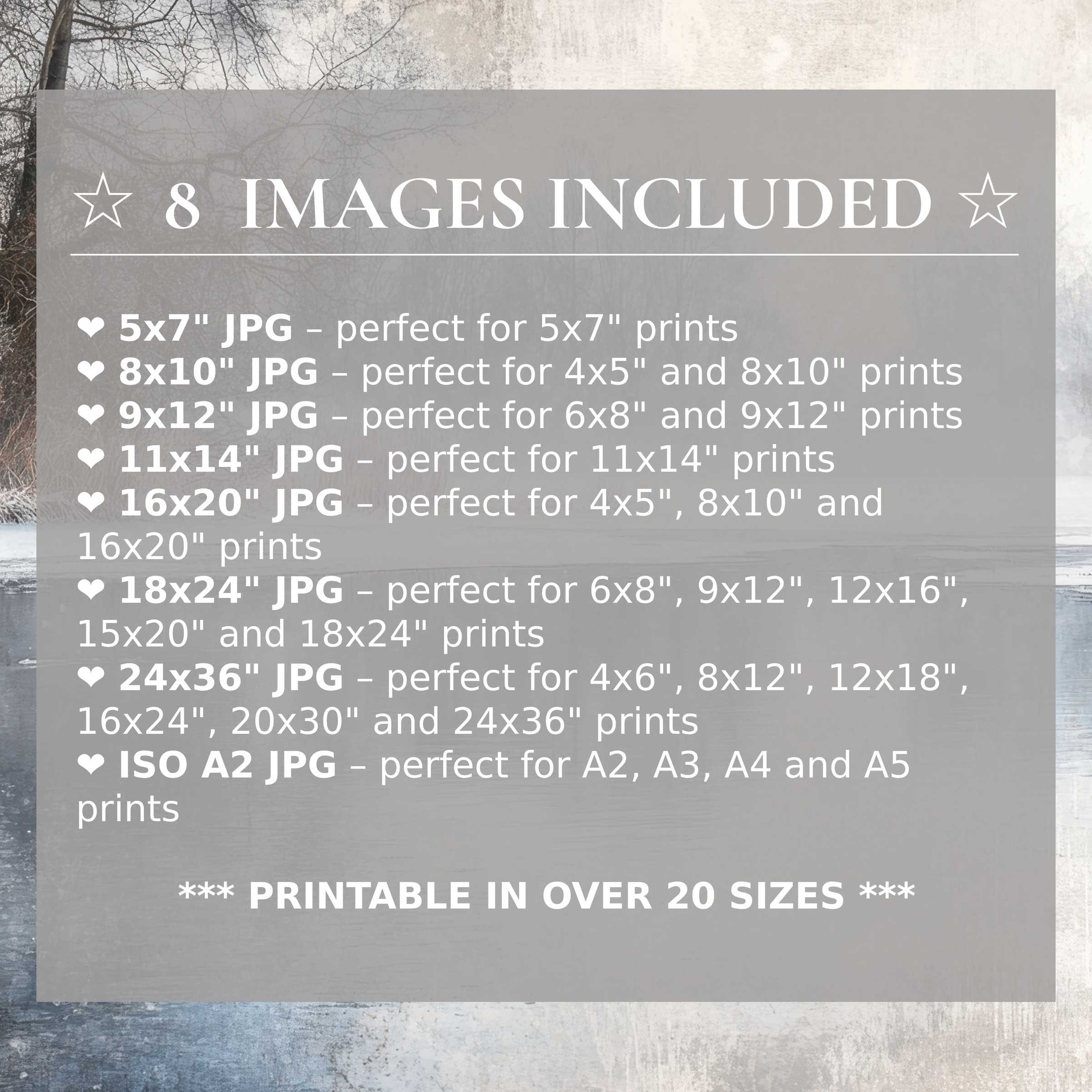 Winter digital print featuring serene icy blues and soft grays, available in 8 high-quality sizes to elevate modern interiors with timeless elegance and versatile style