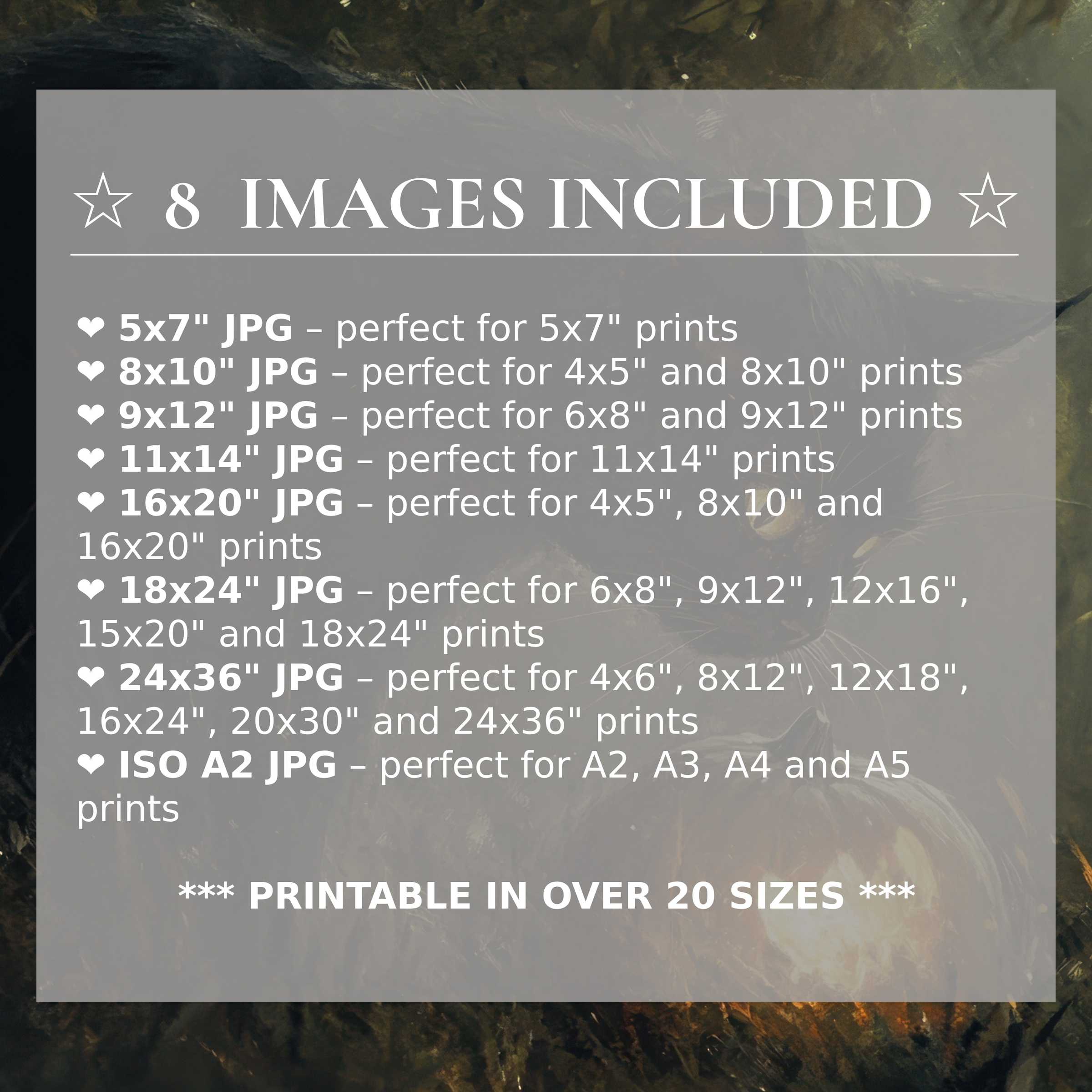Halloween digital print with radiant amber and deep charcoal tones, available in 8 premium sizes for versatile modern decor