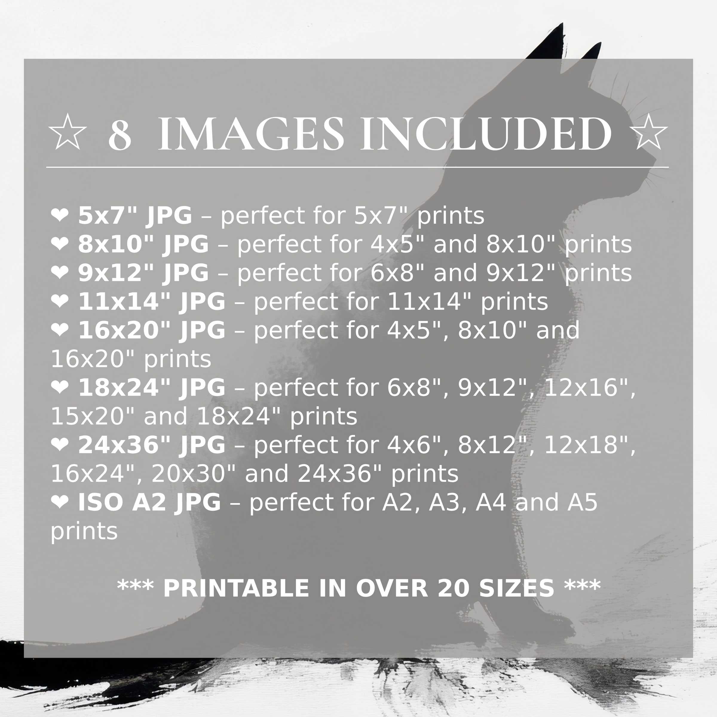 Elegant black and white digital print exuding bold contrast and serene depth, delivered in 8 high-quality sizes for modern interiors