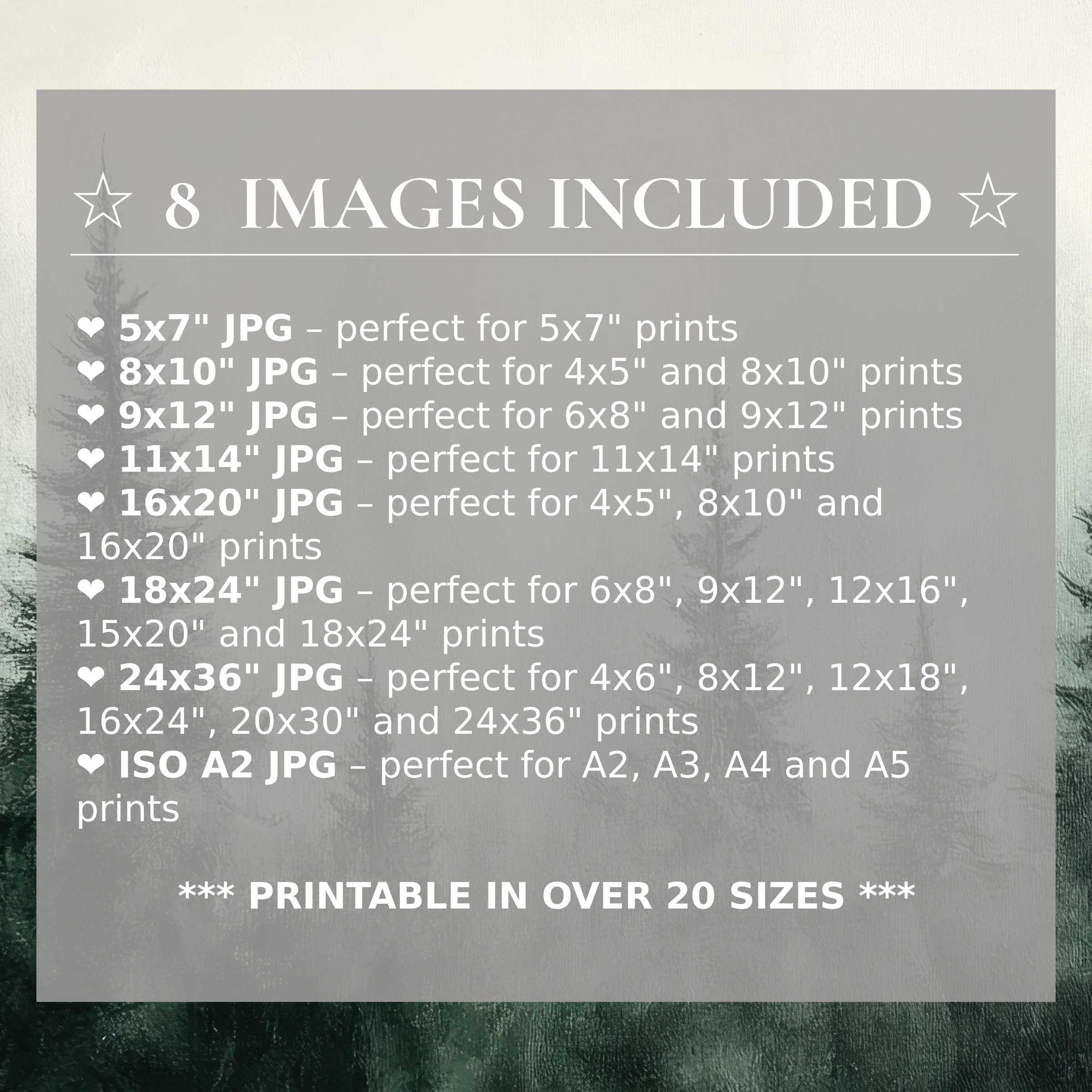 Print size guide showing 8 included JPG formats for versatile wall art printing – perfect for framing in popular sizes from 5x7 to 24x36 and A2