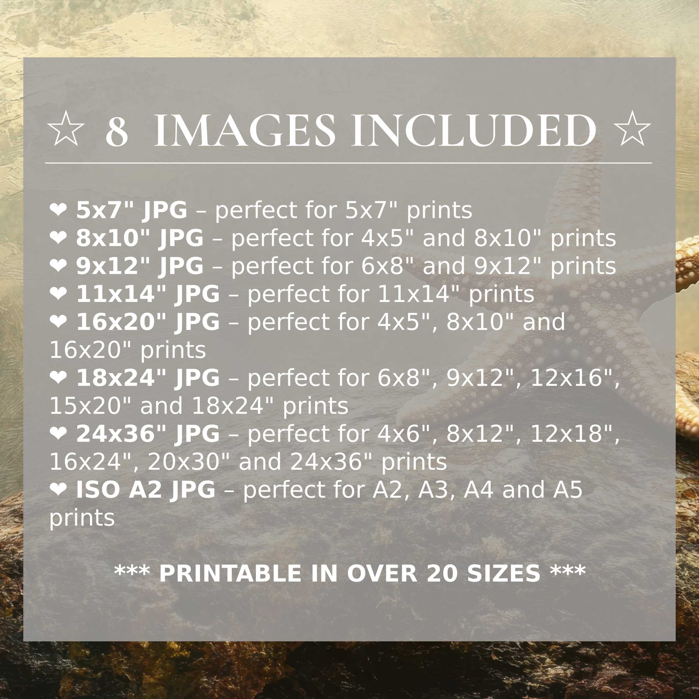 Coastal digital print with radiant sandy beige and tranquil ocean hues, delivered in 8 high-quality sizes included for versatile, stylish modern interiors