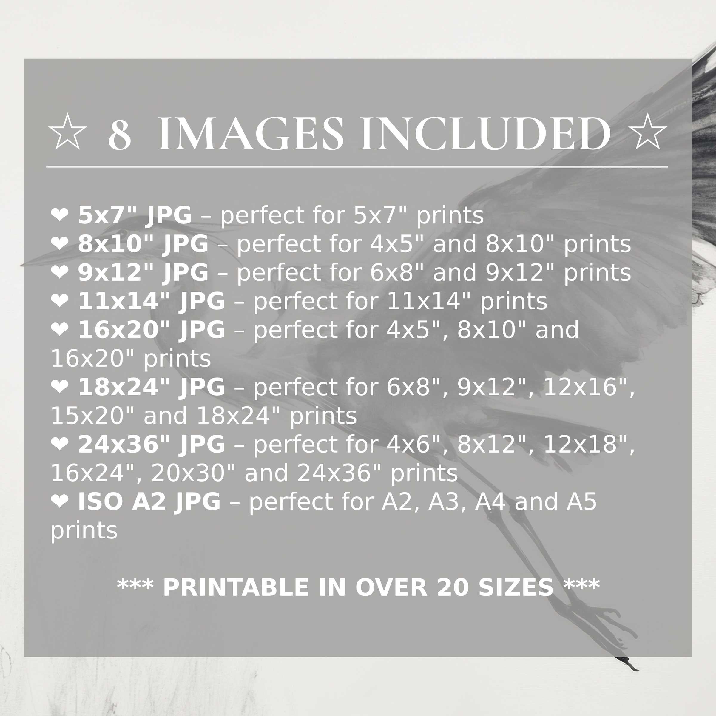 Black and white digital print exudes bold, timeless elegance with radiant contrasts, featured in 8 high-quality sizes included for effortless modern interior styling