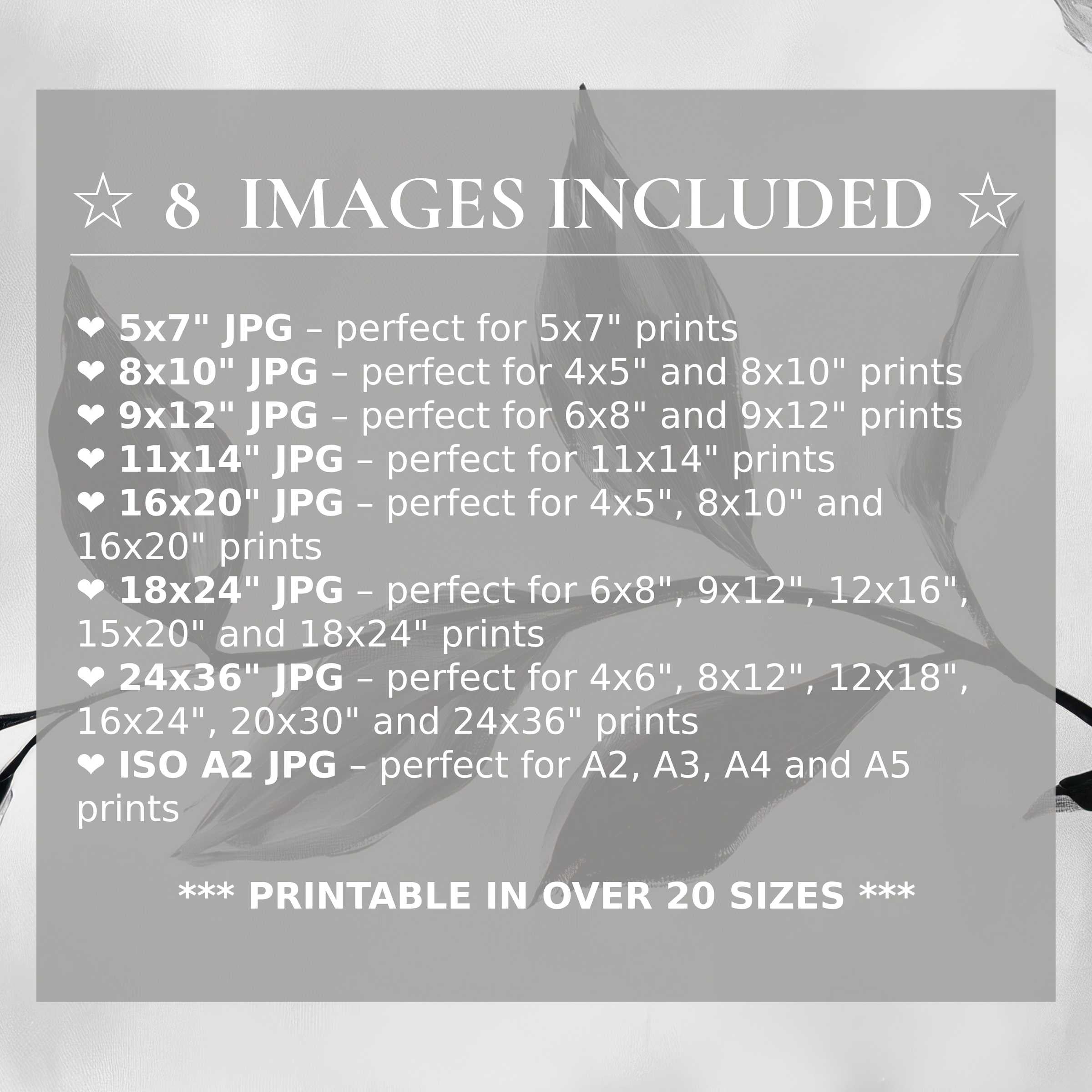 Black and white digital print exudes bold sophistication with radiant monochrome contrasts, elevating modern interiors in 8 high-quality sizes included