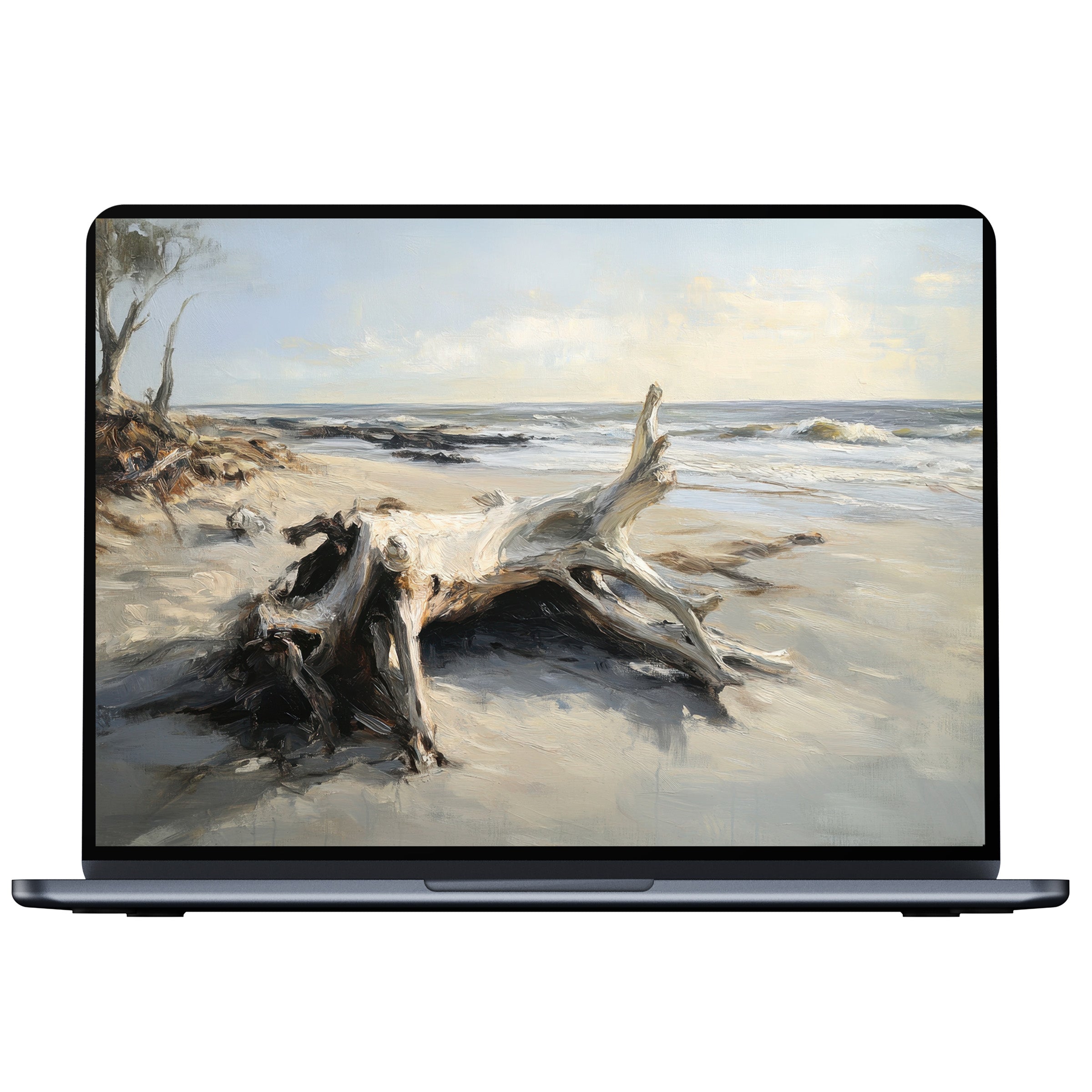 Elegant beach desktop wallpaper digital download featuring serene driftwood art, perfect for PC or laptop inspiring calm and mindfulness