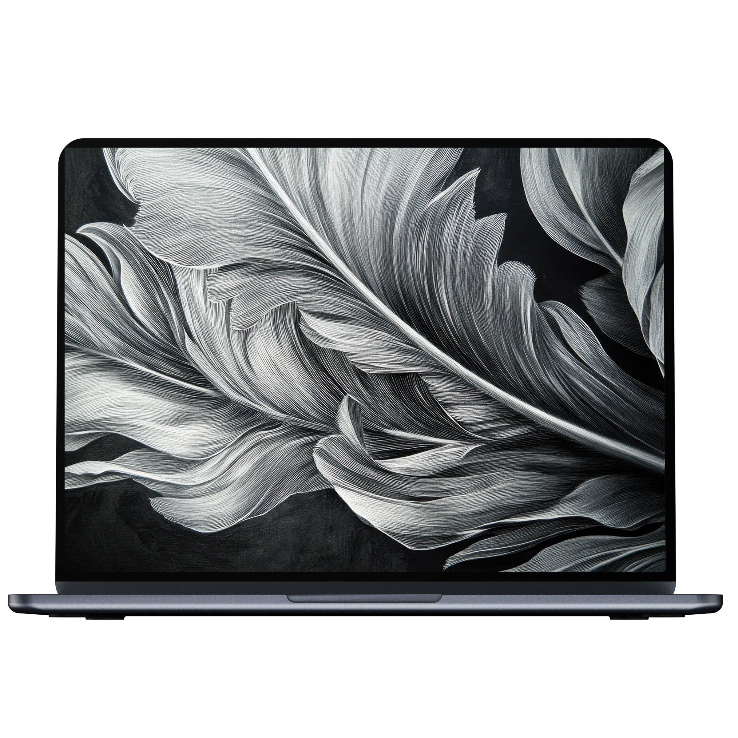 Elegant black and white desktop wallpaper featuring serene feather art for digital download fits PC laptop and Mac screens