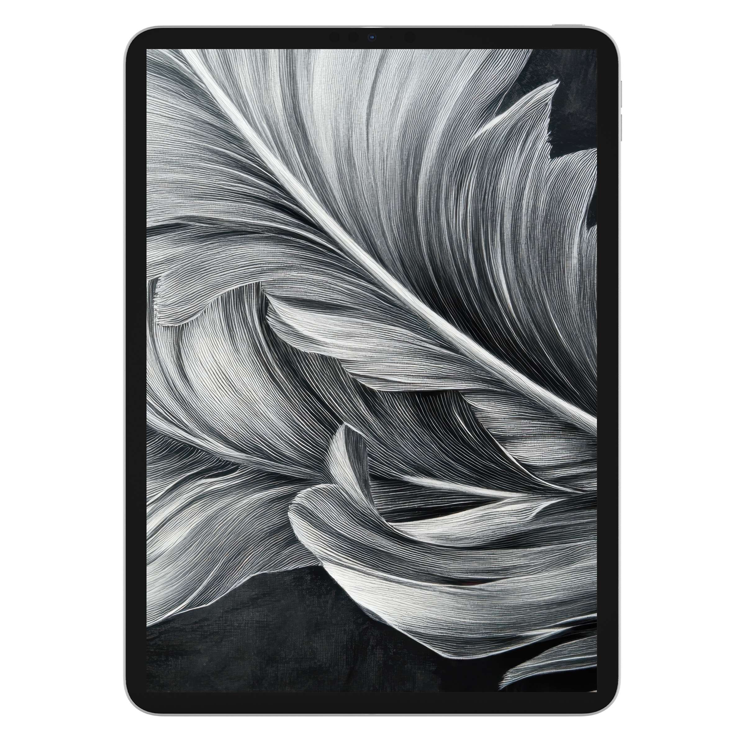 Elegant black and white iPad wallpaper with soft feather texture for tablet background digital download fosters serenity and style