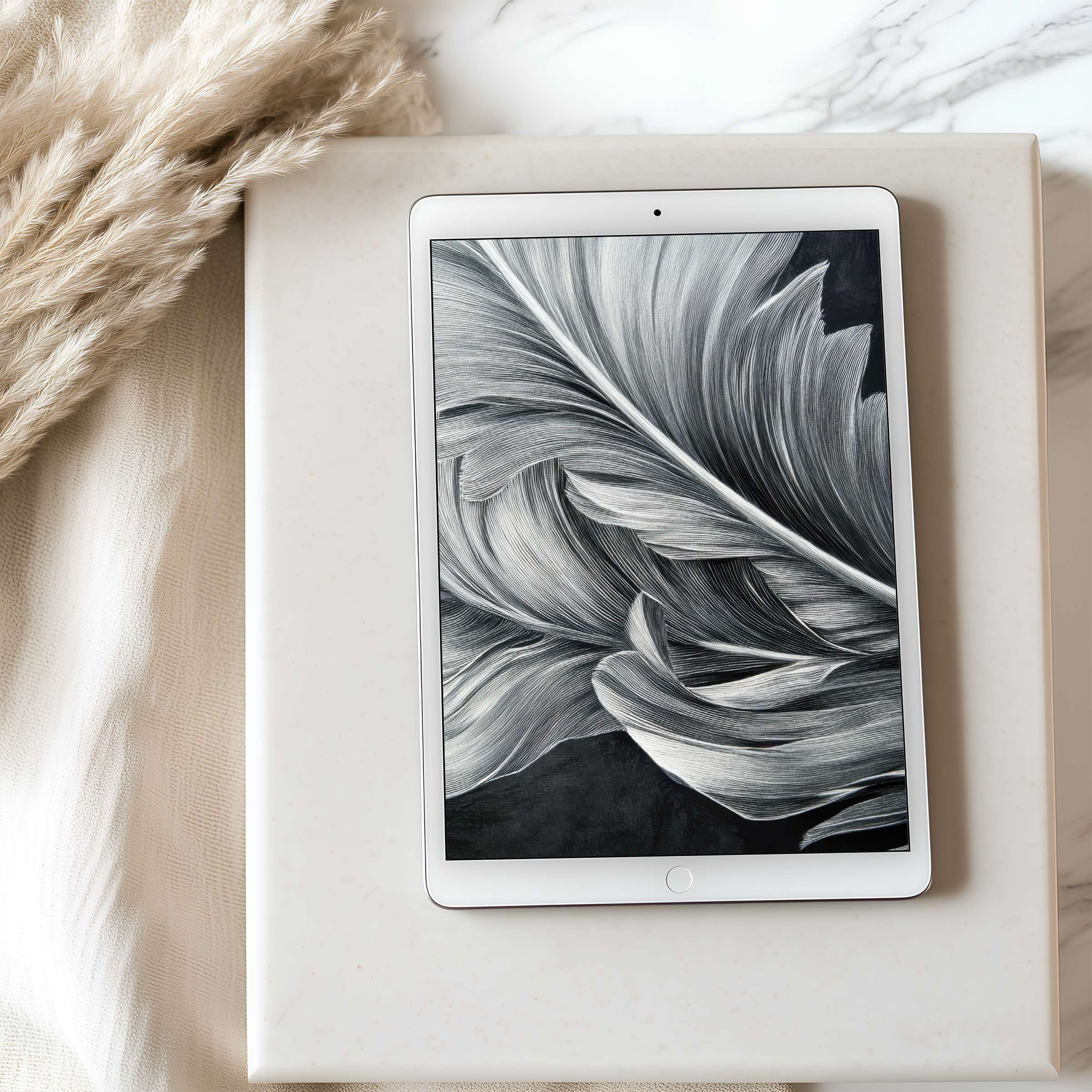 Elegant grayscale feather design for tablet wallpaper, perfectly curated for high resolution iPad and Android, a calming digital download