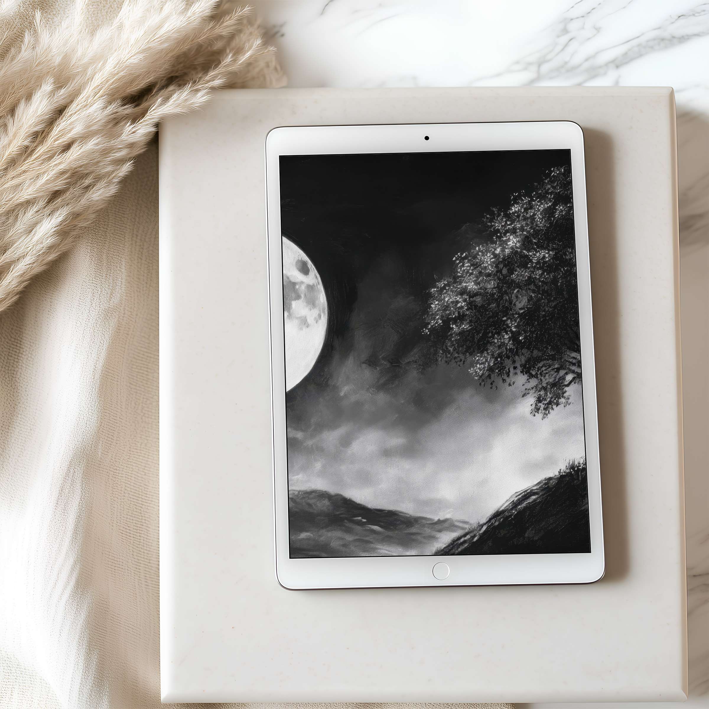 Elegant black-and-white tablet wallpaper featuring a serene moonlit landscape, ideal for iPad aesthetics, offering calm digital download