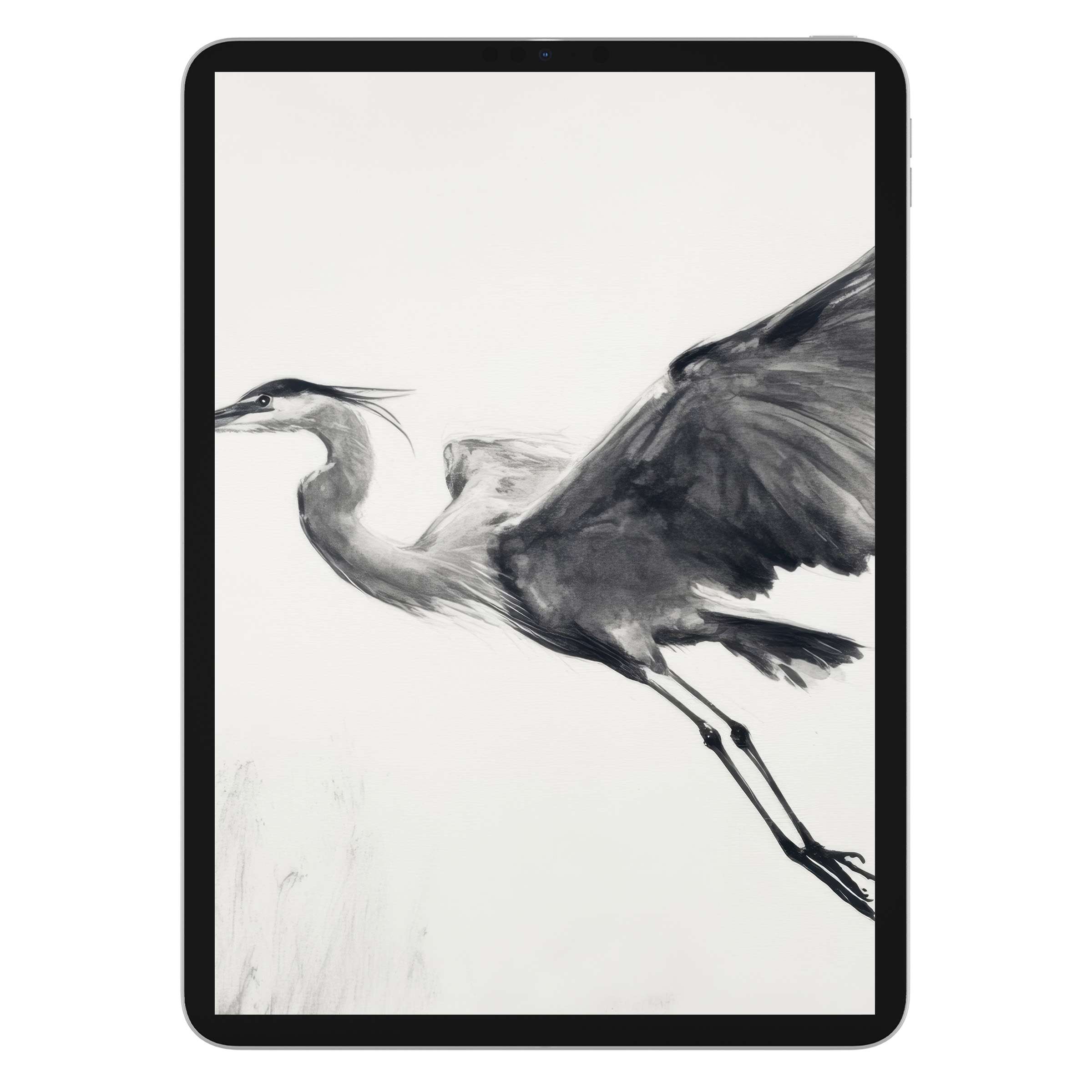 Elegant black and white iPad wallpaper featuring an artistic heron, ideal digital download for a tranquil tablet background