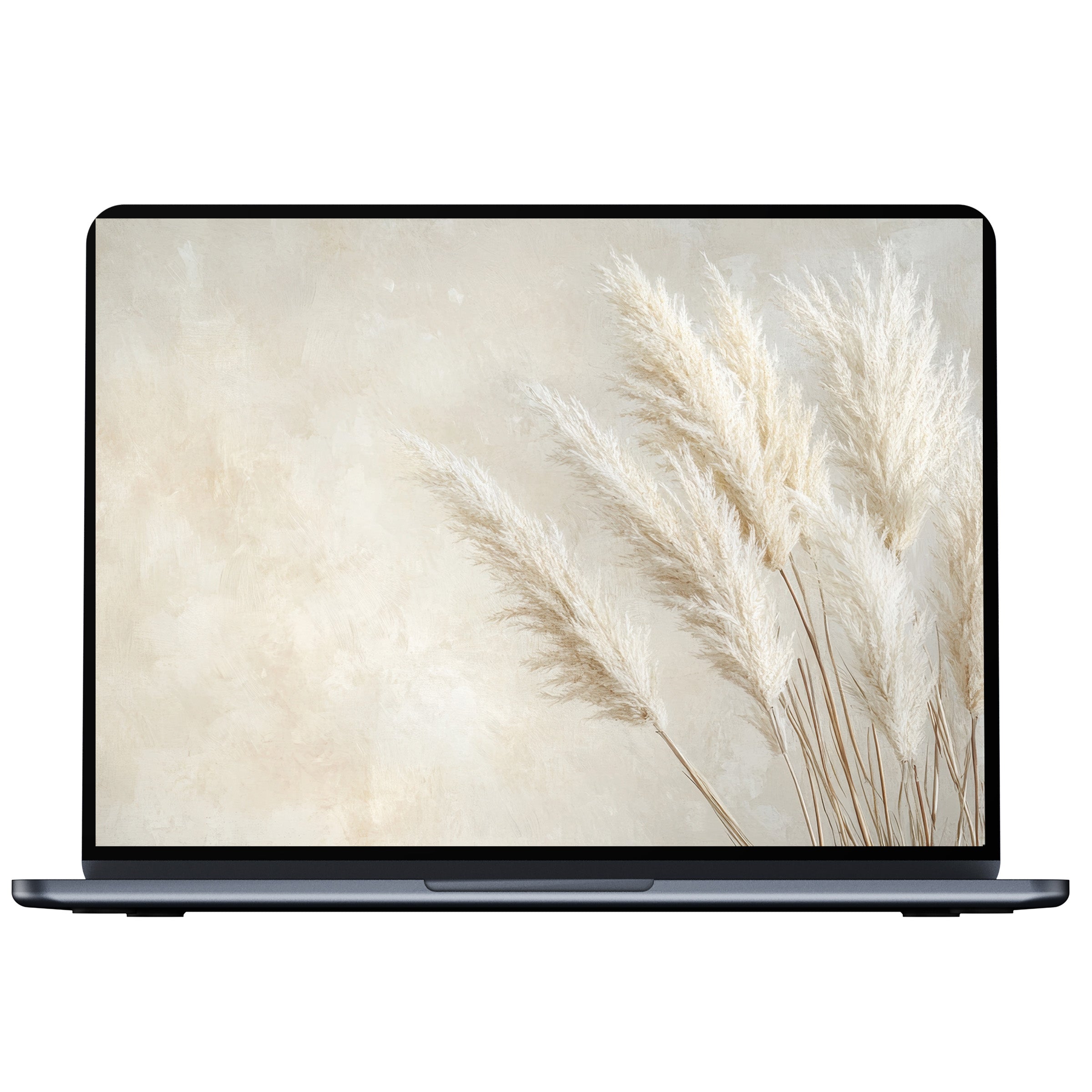 Boho desktop wallpaper digital download featuring elegant pampas grass on a soft beige backdrop for PC, laptop, and Mac users