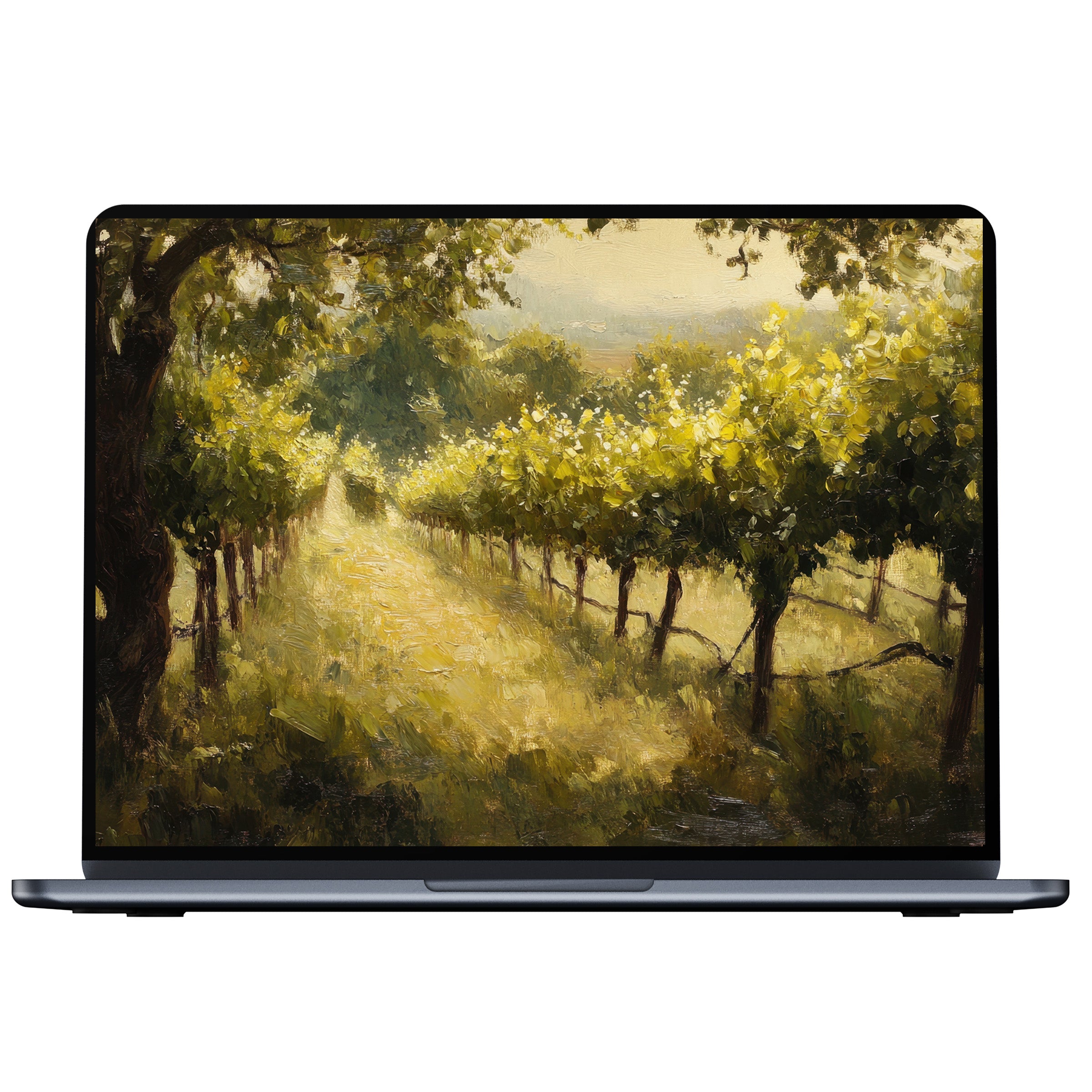 Botanical desktop wallpaper digital download featuring a sunlit vineyard path; perfect for PC and laptop elegance and tranquility