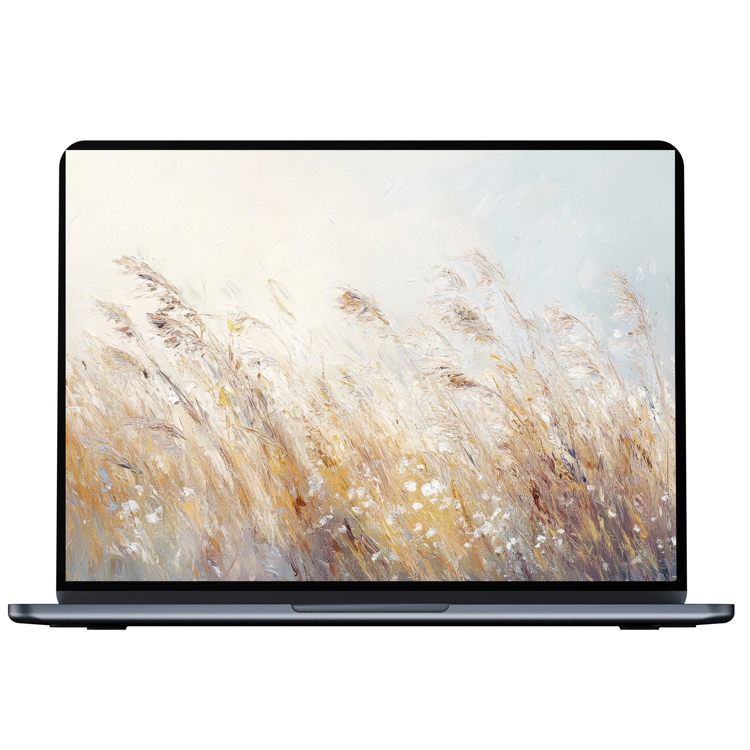 Serene botanical desktop wallpaper digital download showcasing gentle beige and white grasses swaying in the wind fits PC and laptop