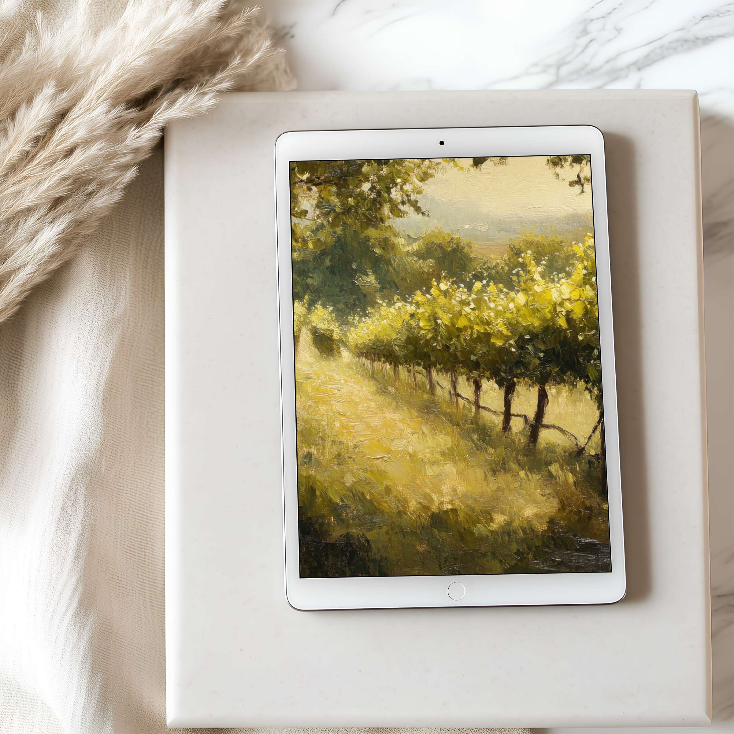 Serene vineyard landscape tablet wallpaper in high resolution brings elegance to your space, perfect for iPad and Android digital download