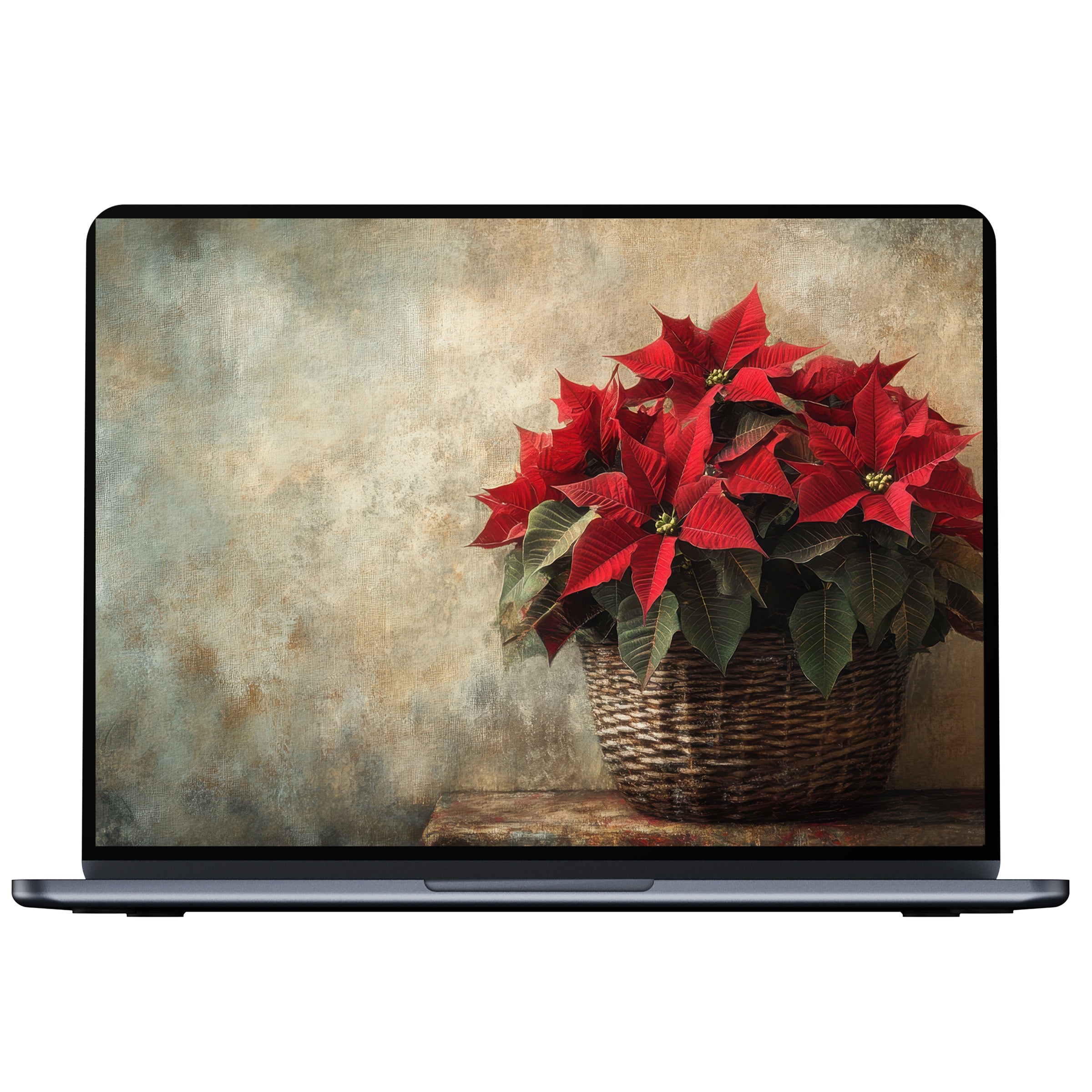 Elegant poinsettia Christmas desktop wallpaper digital download for PC and laptop inspiring calm with warm, vintage textures