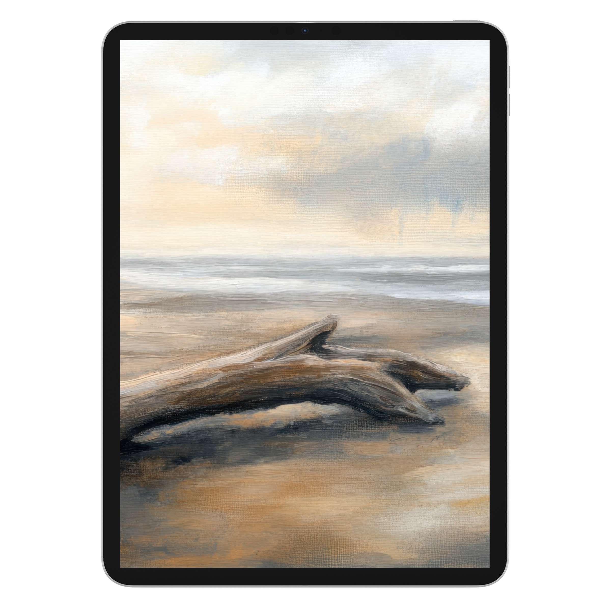 Coastal iPad wallpaper featuring serene driftwood and ocean hues offers a calming digital download background for tablet screens