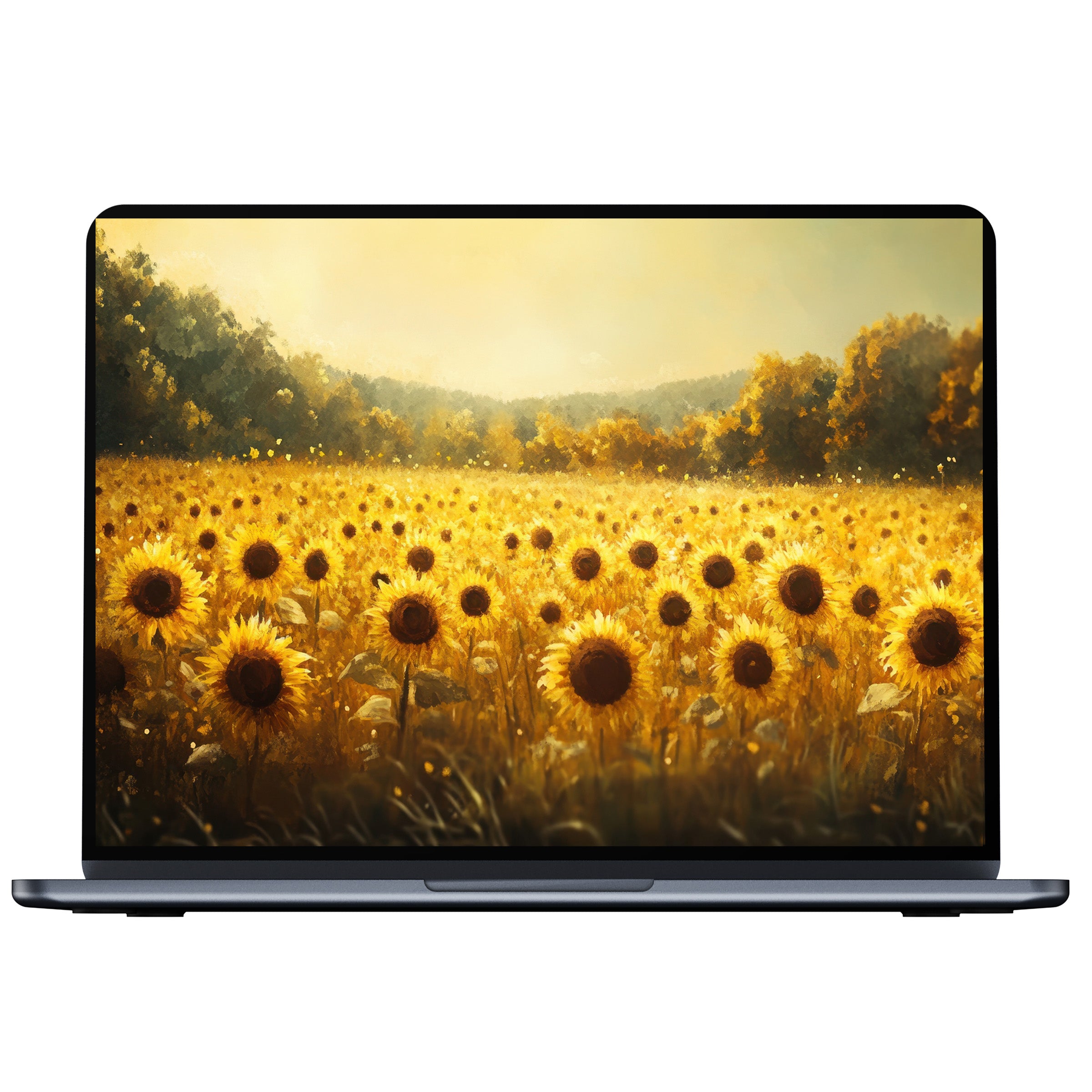 Sunlit sunflower field fall desktop wallpaper digital download brings calm elegance to PC and laptop screens with warm hues