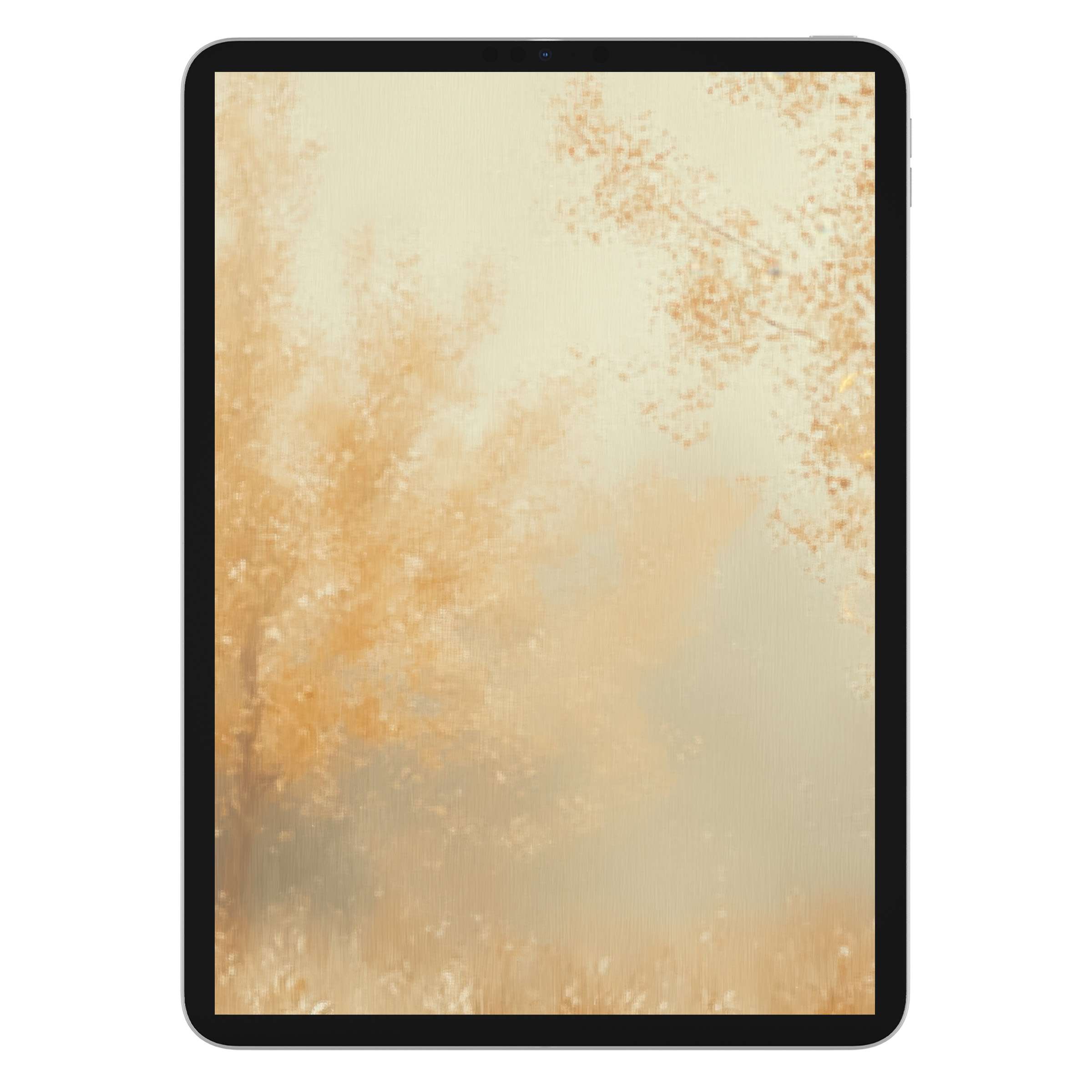 Warm and elegant, this fall iPad wallpaper offers a digital download of soft autumn hues, perfect as a tablet background