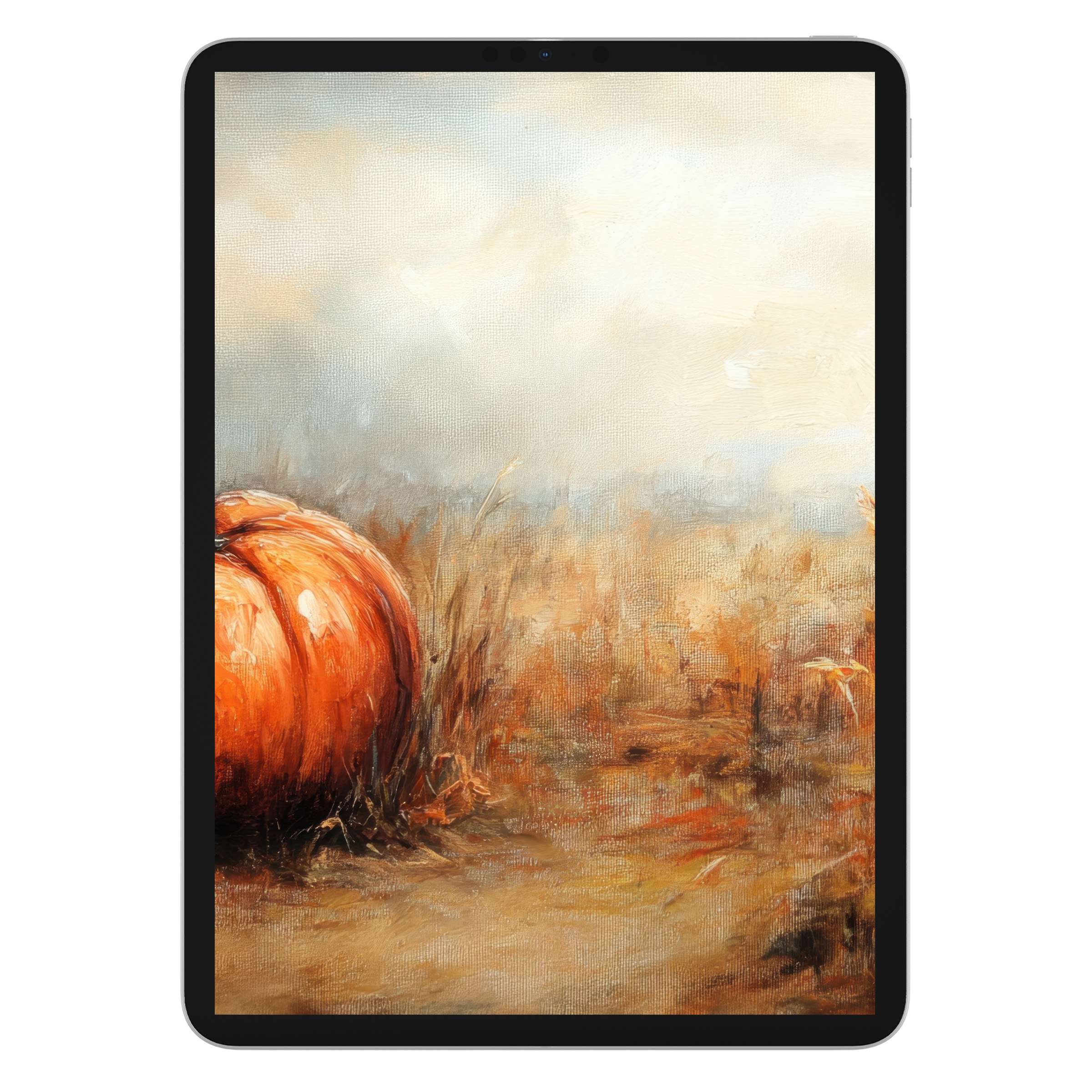 Elegant fall iPad wallpaper with a serene pumpkin scene, perfect for tablet background lovers seeking seasonal digital download enrichment
