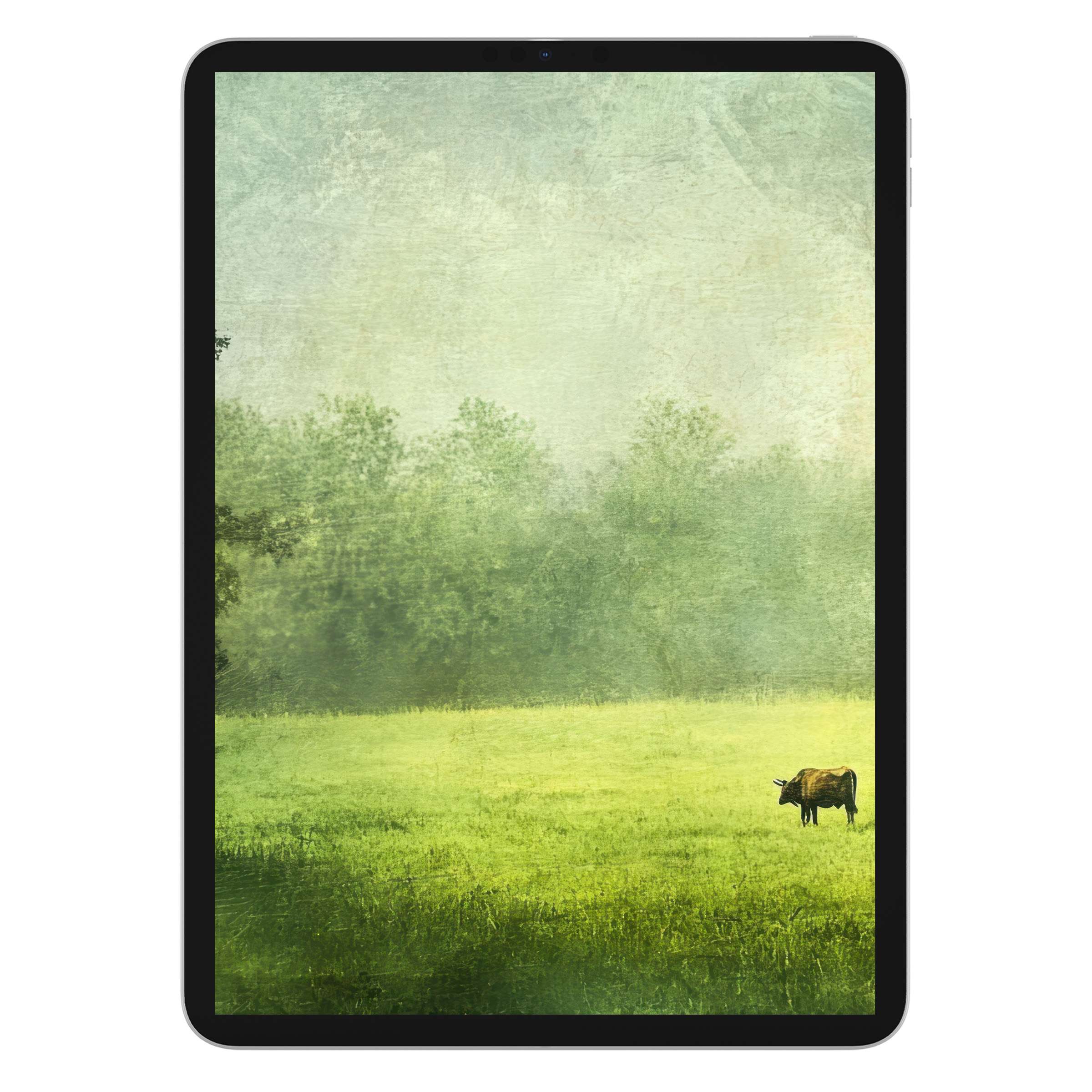 Farmhouse iPad wallpaper digital download featuring serene green fields, misty trees, and grazing cow, perfect tablet background for tranquility
