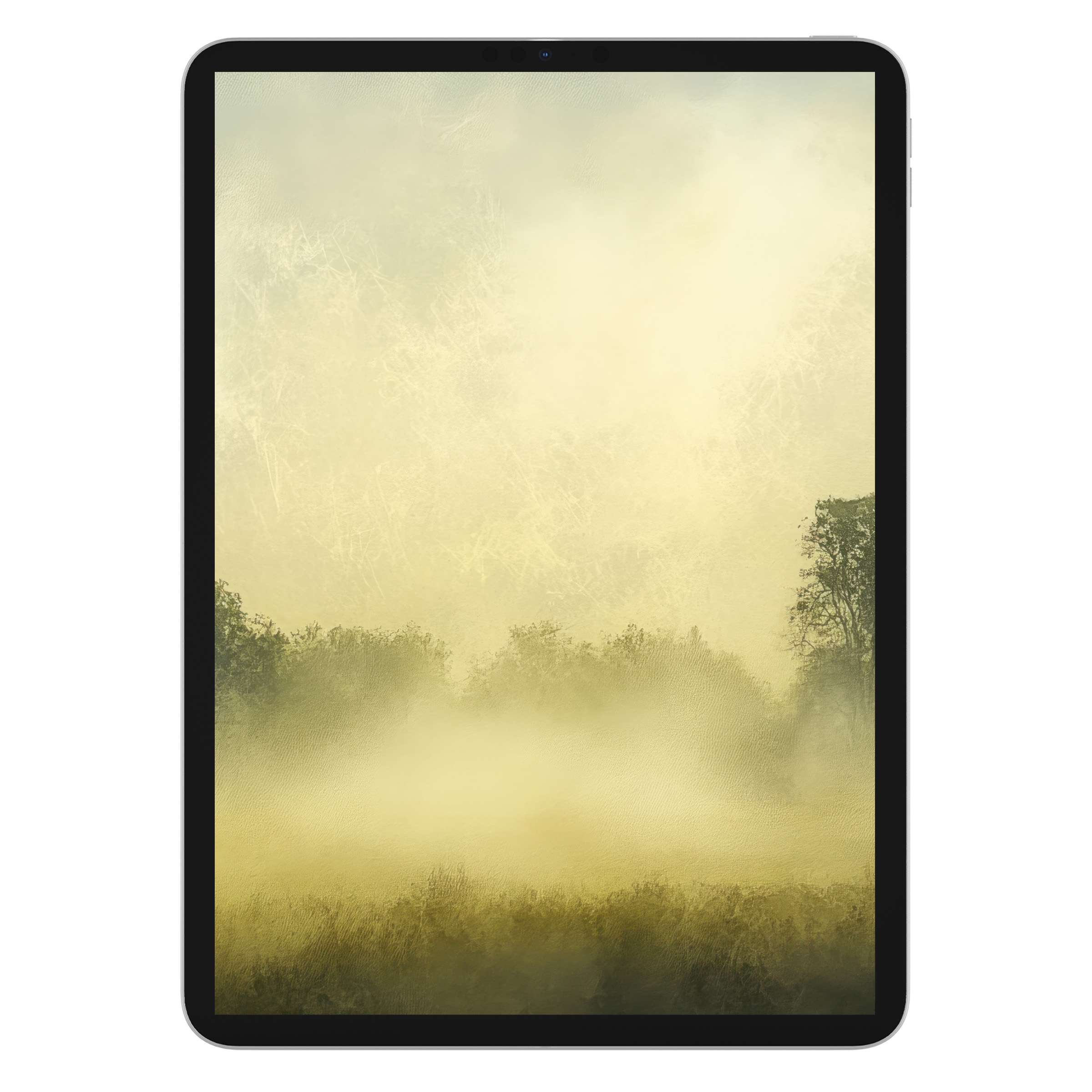 Elegant farmhouse iPad wallpaper showcasing a misty field in soft gold tones, perfect tablet background for a serene digital download