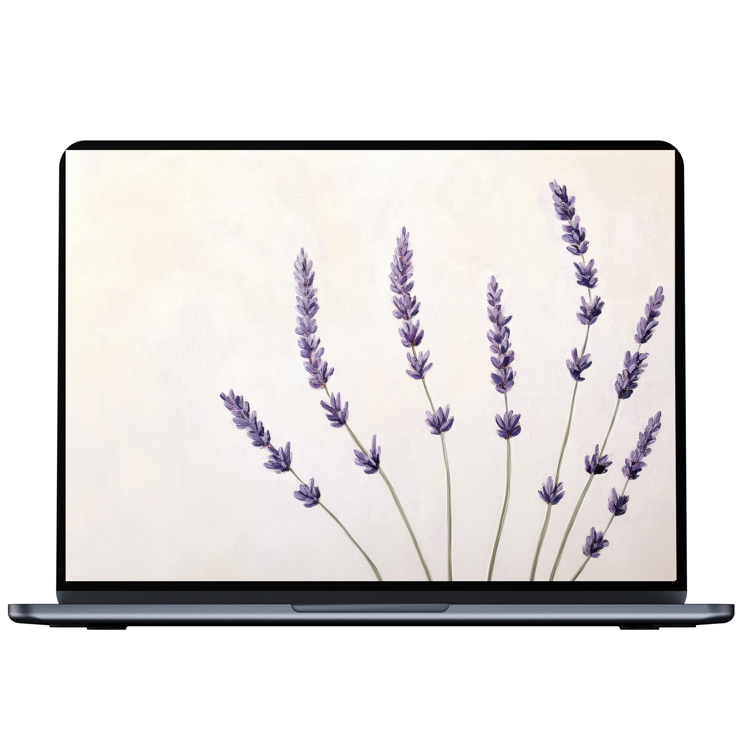 Delicate lavender sprigs on a floral desktop wallpaper offer a serene digital download for PC and laptop, enhancing tranquility and style