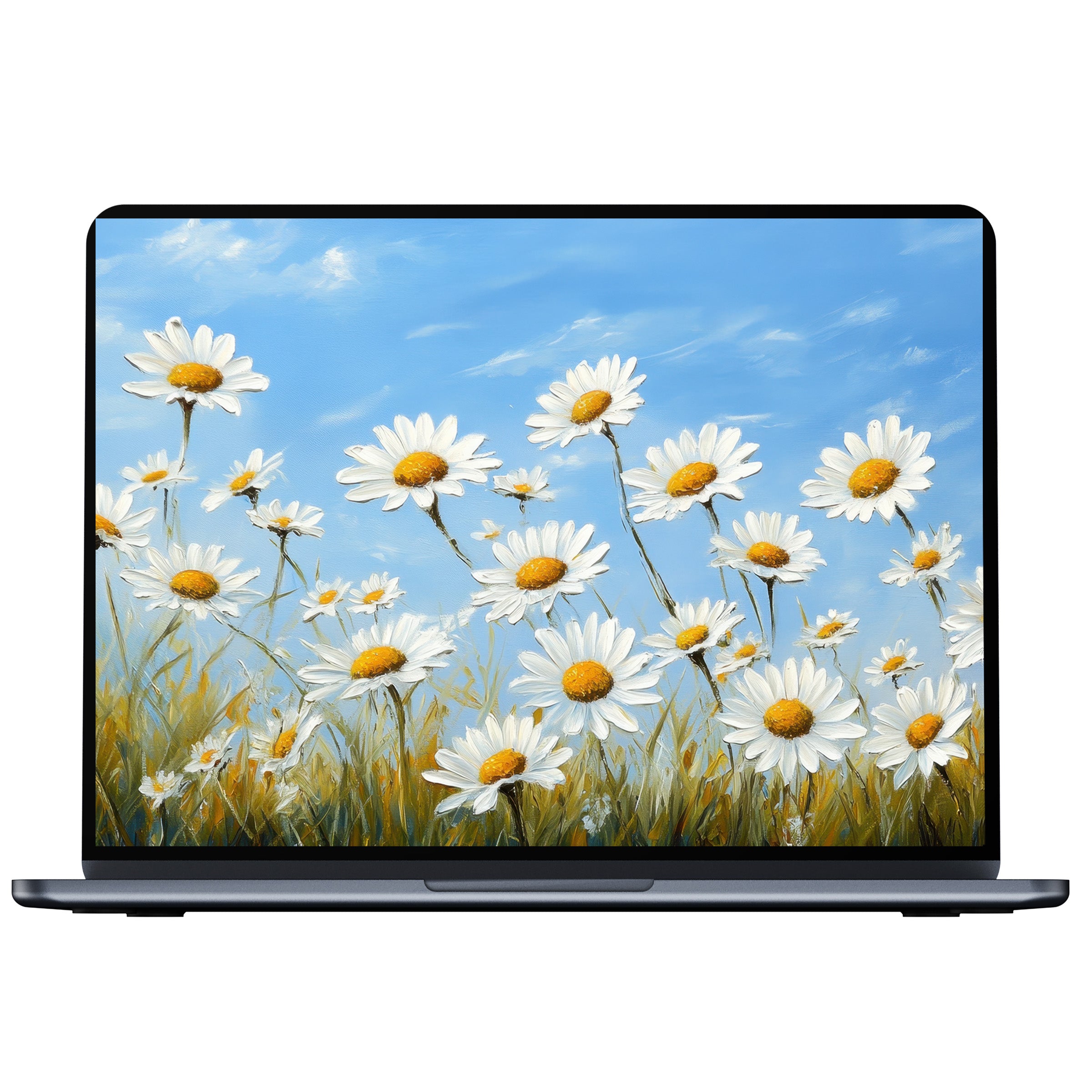 Floral desktop wallpaper with daisies under blue skies, inspiring serenity and charm for digital download on PC and laptop screens