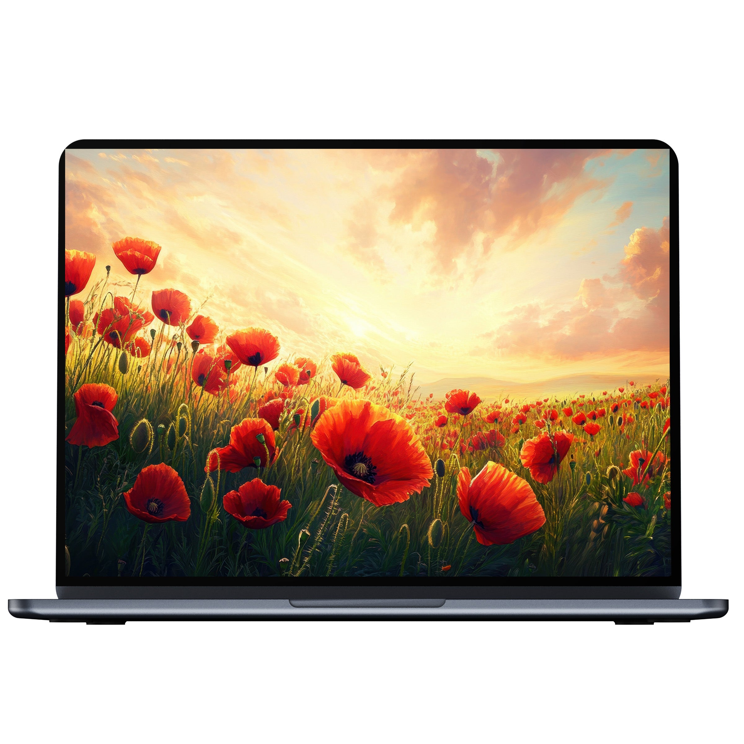 Floral desktop wallpaper digital download features vibrant poppies under a golden sky creating elegance and calm for any PC or laptop