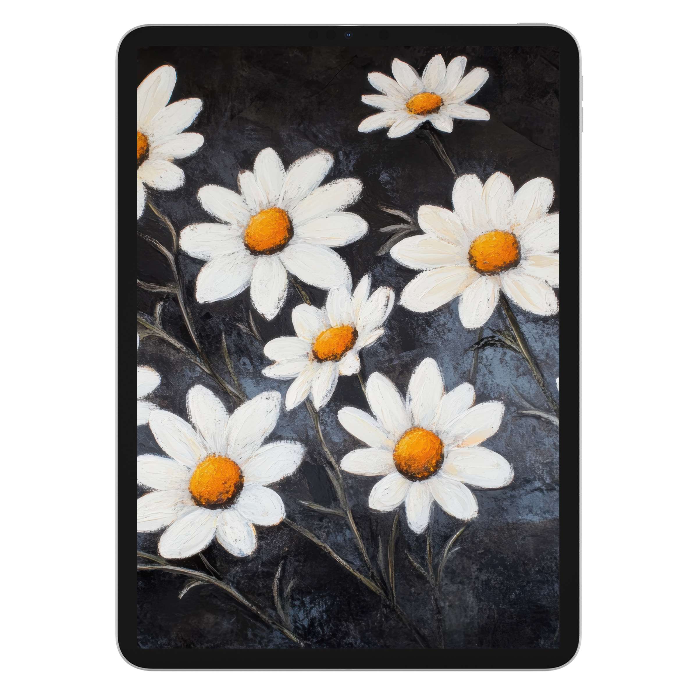 Daisies on a dark canvas create a serene floral iPad wallpaper, ideal as a tablet background digital download for artistic ambiance