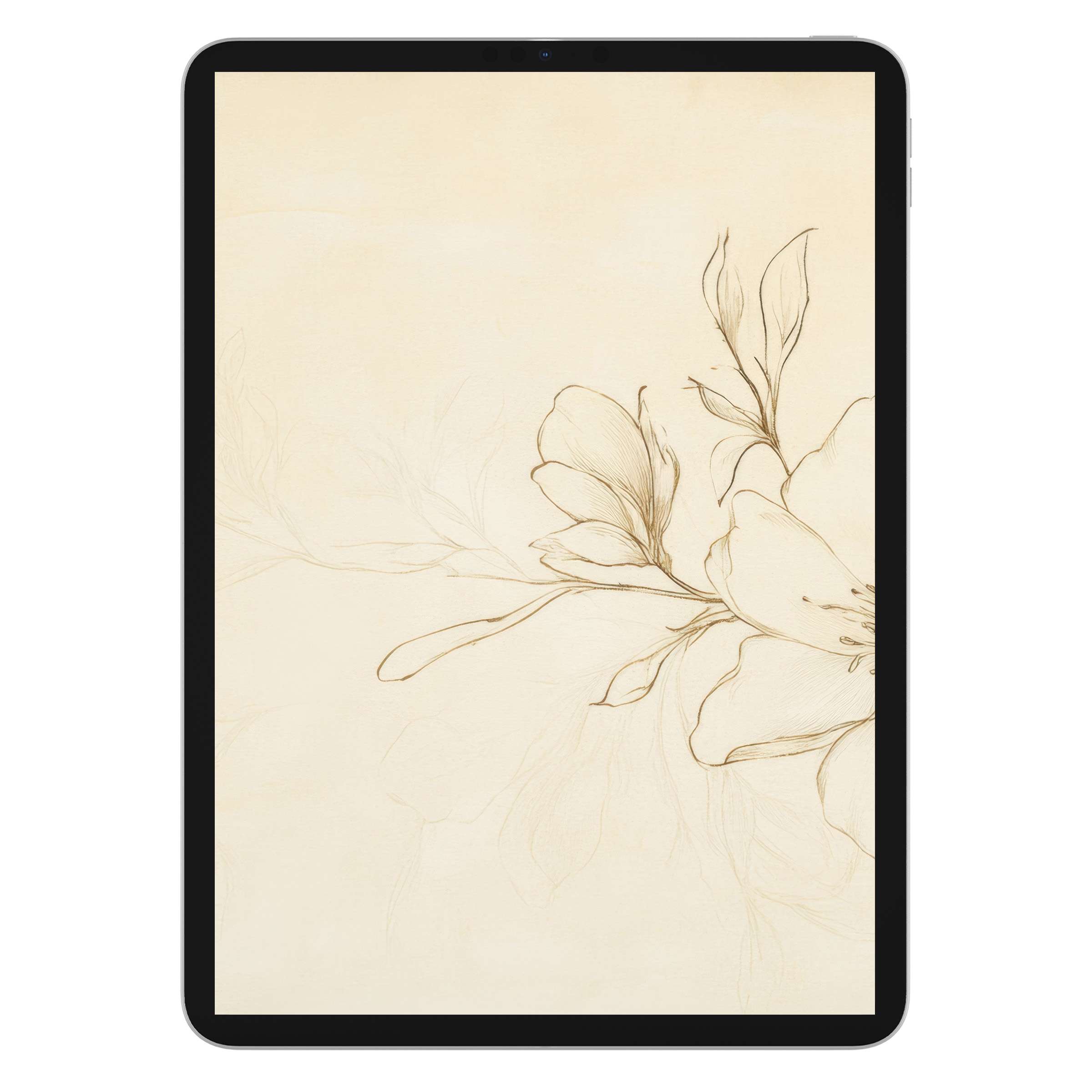 Elegant floral iPad wallpaper with delicate beige sketches on a cream background, perfect digital download for any tablet mood