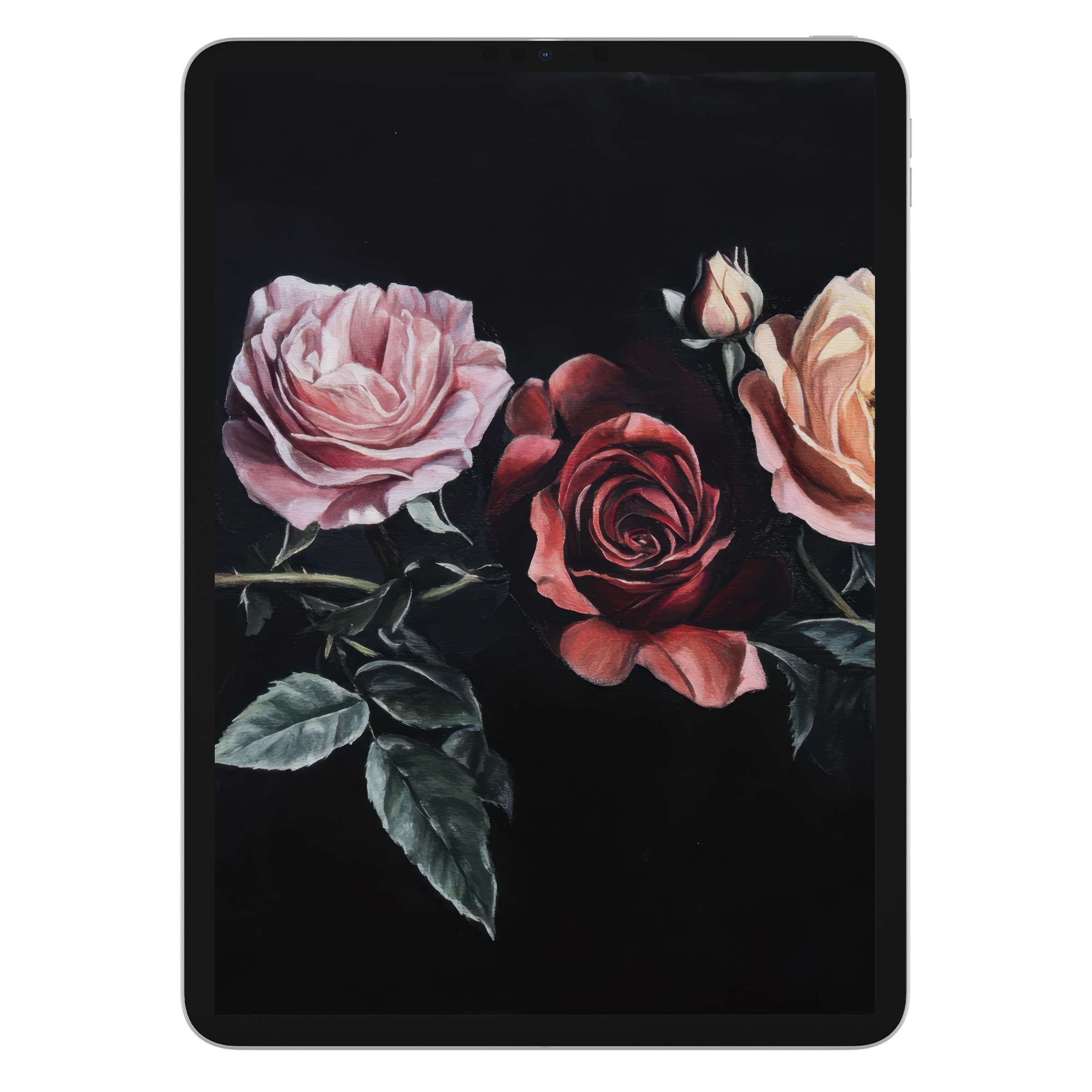 Elegant floral iPad wallpaper featuring vivid roses on a dark background, perfect digital download for tablet users seeking aesthetic calm
