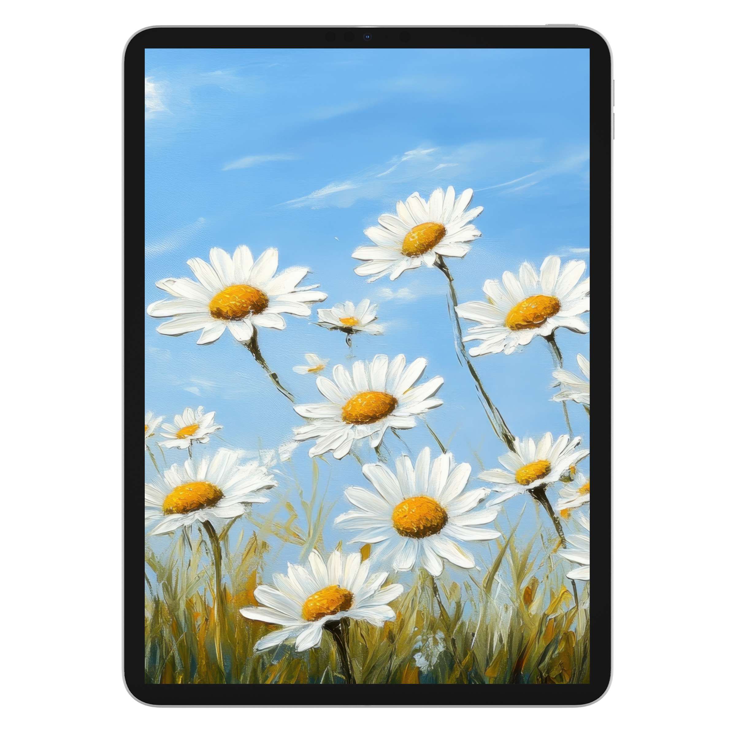 Floral iPad wallpaper with daisies against a serene blue sky; perfect digital download for elegant tablet background aesthetics