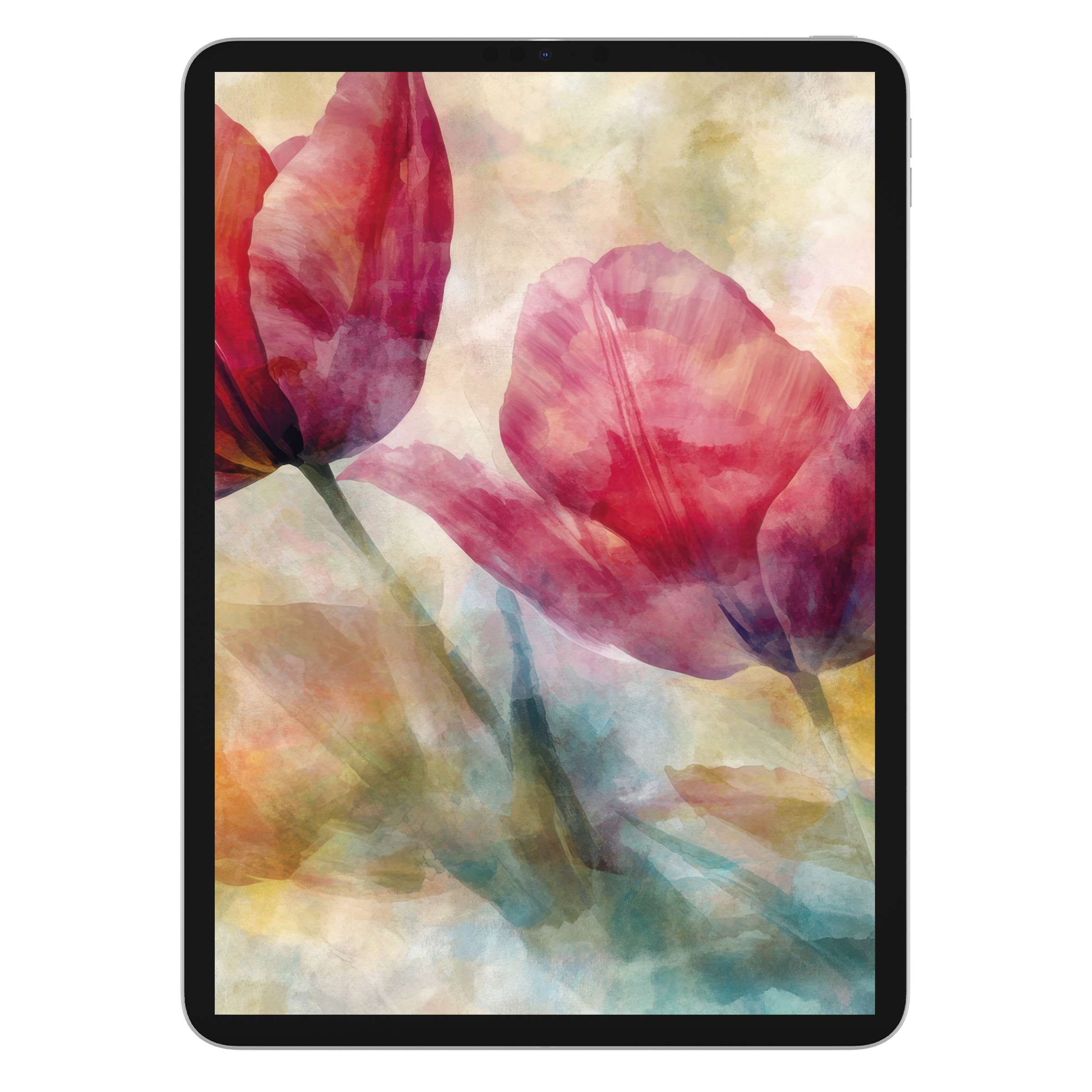 Floral iPad wallpaper showcasing watercolor tulips, perfect as a calming digital download for tablet background art lovers