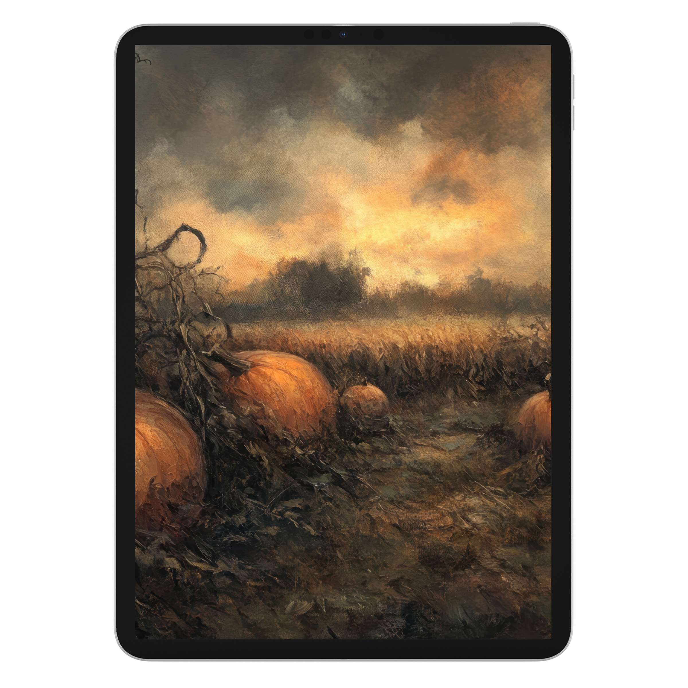 Elegant halloween iPad wallpaper features a serene autumn landscape with pumpkins and a golden sky, ideal for tablet background digital download