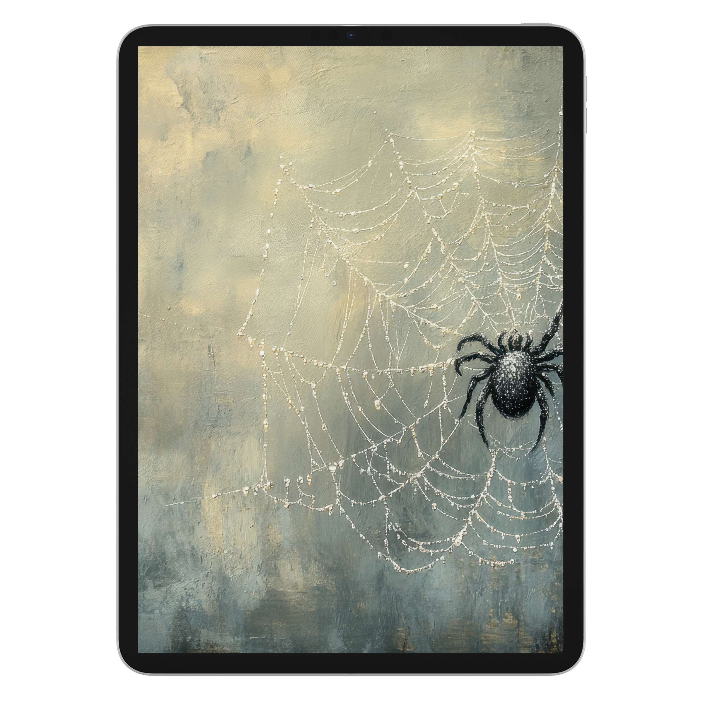 Halloween iPad wallpaper with elegant spider and web on a textured canvas creates a calming digital download background for any tablet