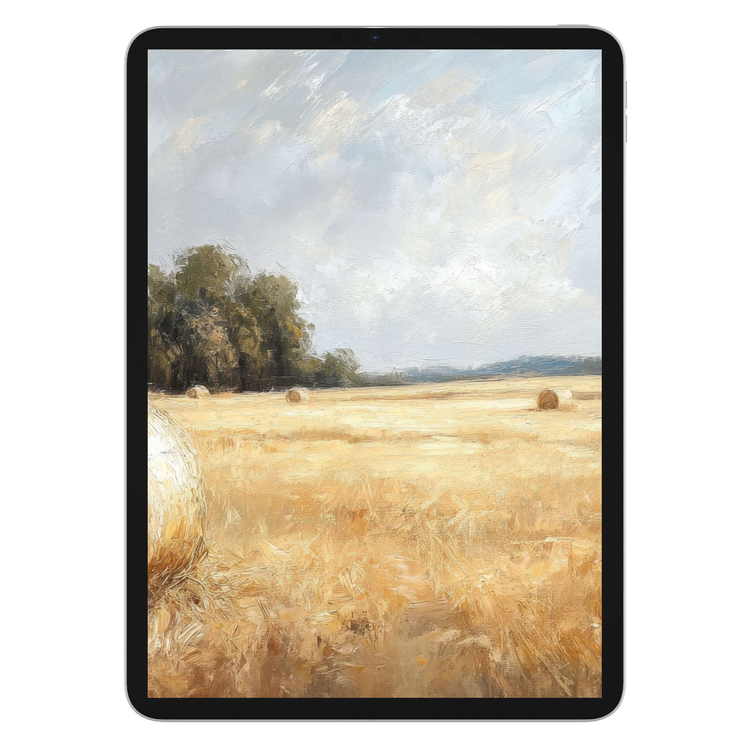 Serene landscape iPad wallpaper featuring golden fields under a soft sky, a digital download perfect for tablet backgrounds and creative spaces