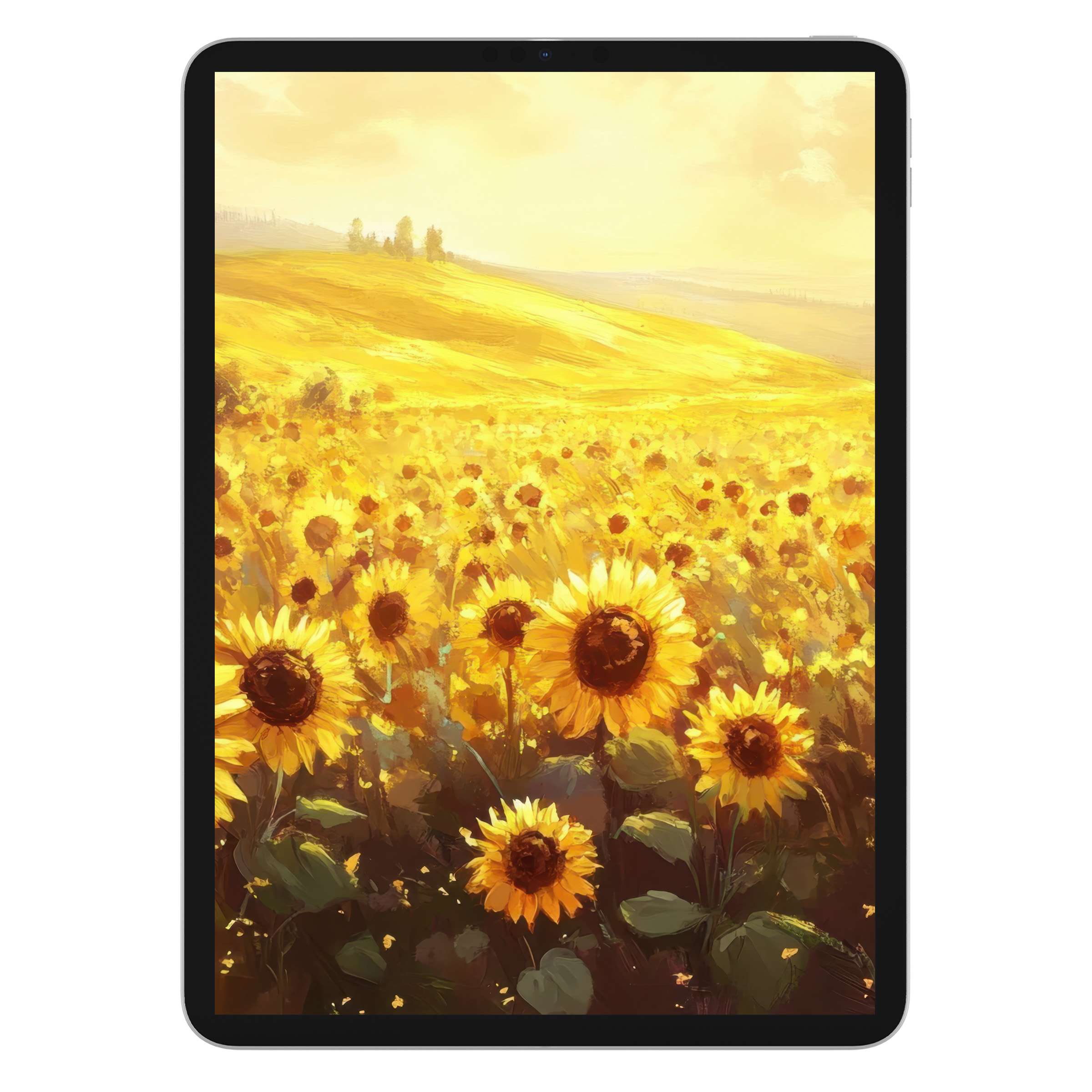 Vibrant sunflower field landscape iPad wallpaper for serene tablet background digital download in warm, golden hues and artistic texture
