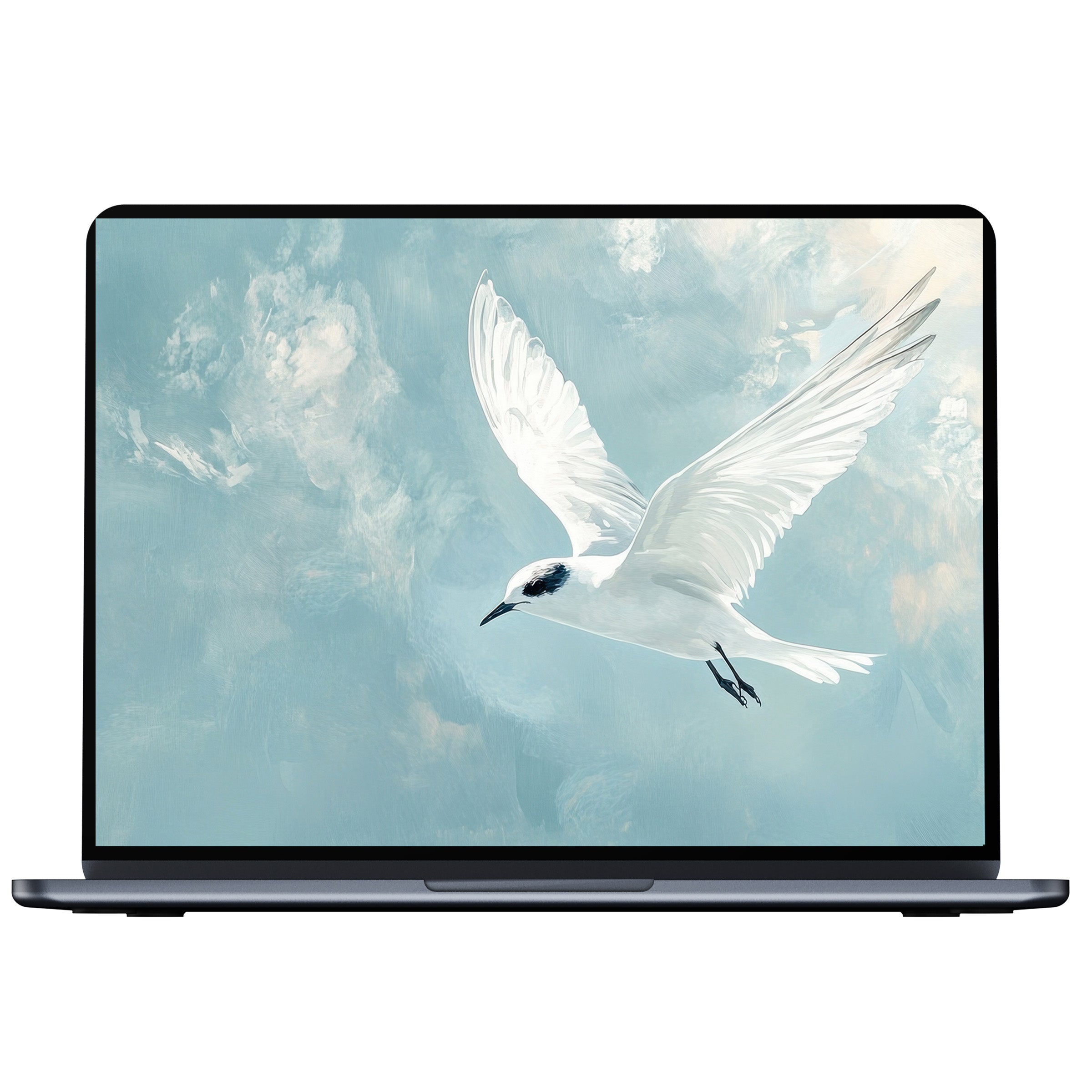 Minimalist desktop wallpaper with elegant white bird on soft blue sky background for digital download fits PC or laptop use