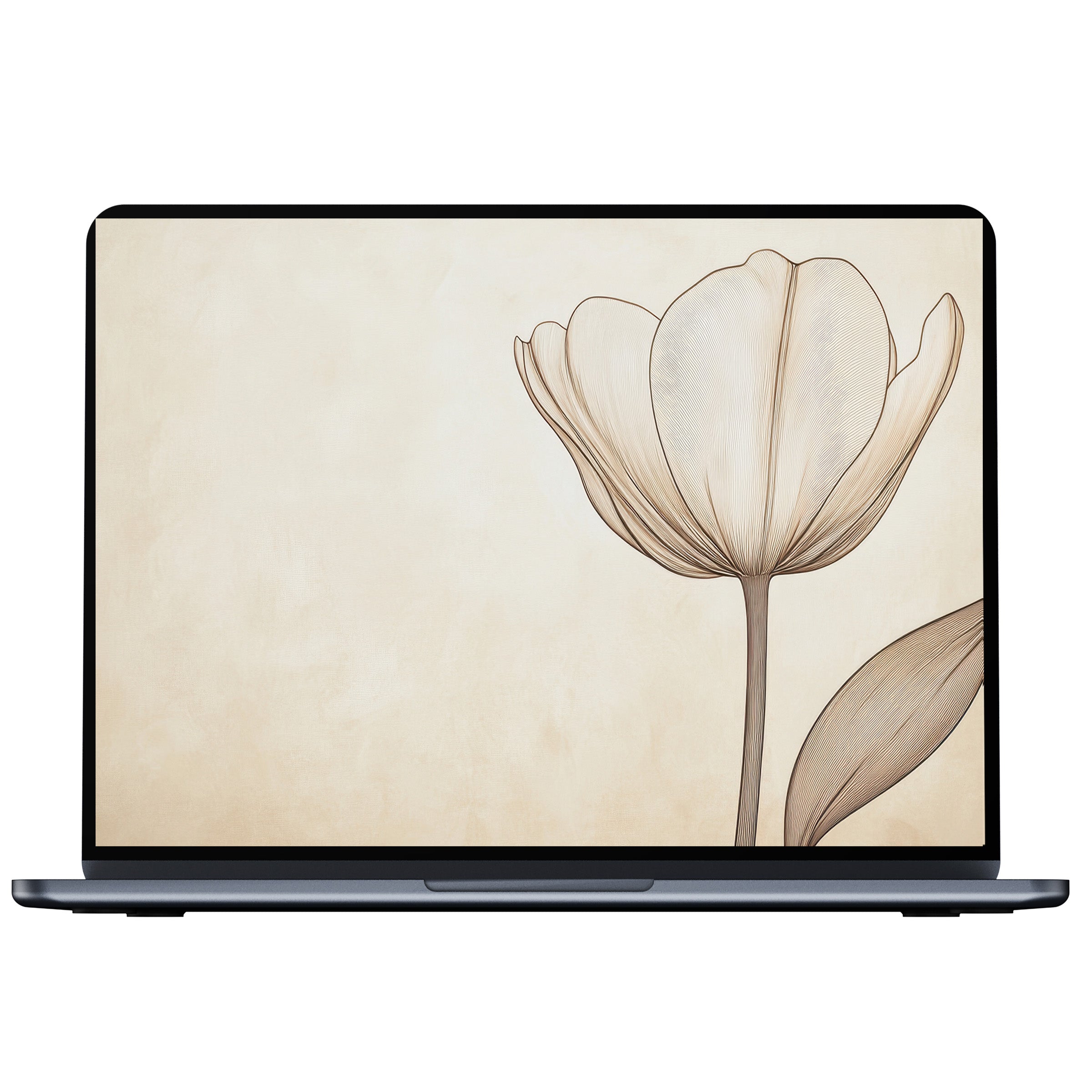 Elegant minimalist desktop wallpaper featuring a beige floral sketch for PC, laptop, or Mac digital download inspires calm elegance