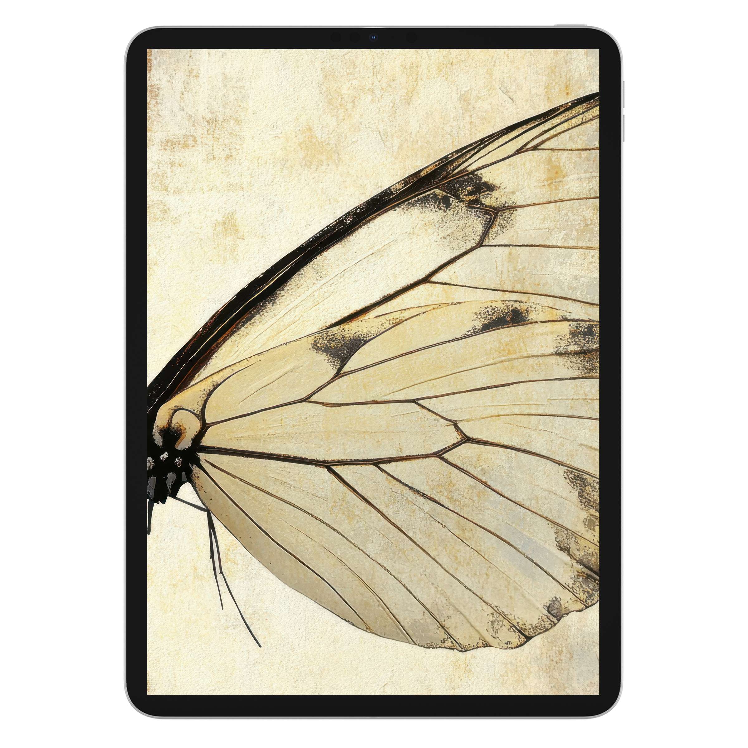 Elegant minimalist iPad wallpaper featuring a delicate butterfly wing on a soft beige background, perfect as a digital download for tablets